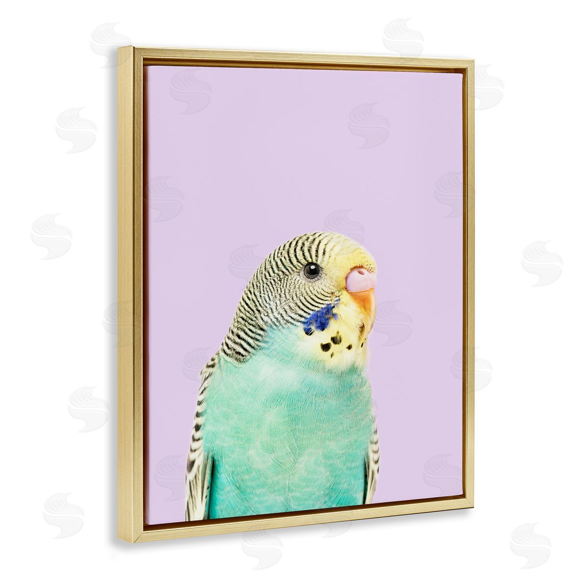 Sisi and Seb Pastel Budgie Bird Gold Floating Frame Canvas Wall Art Print