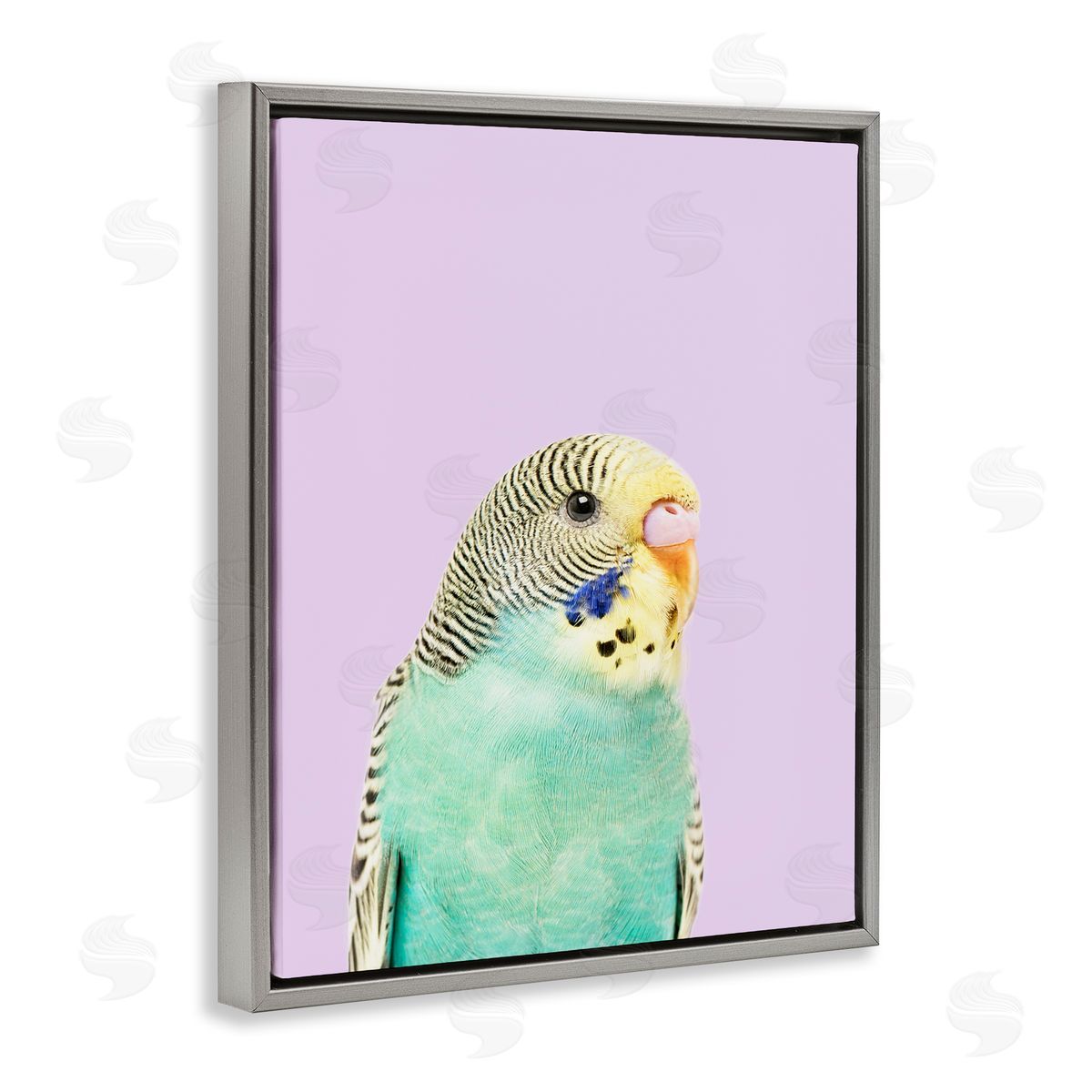 Sisi and Seb Pastel Budgie Bird Gray Floating Frame Canvas Wall Art Print