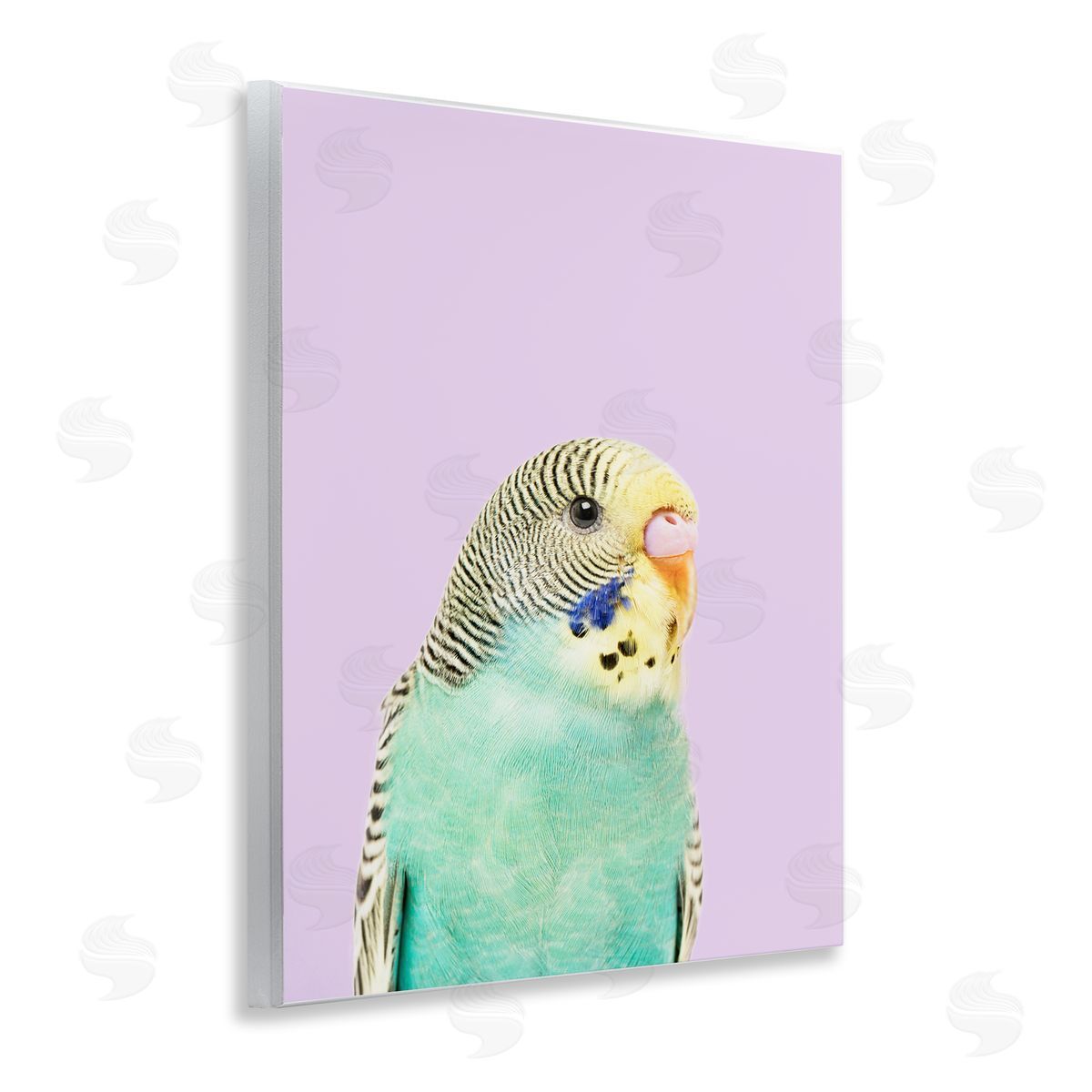 Sisi and Seb Pastel Budgie Bird Wooden Wall Plaque Art Print