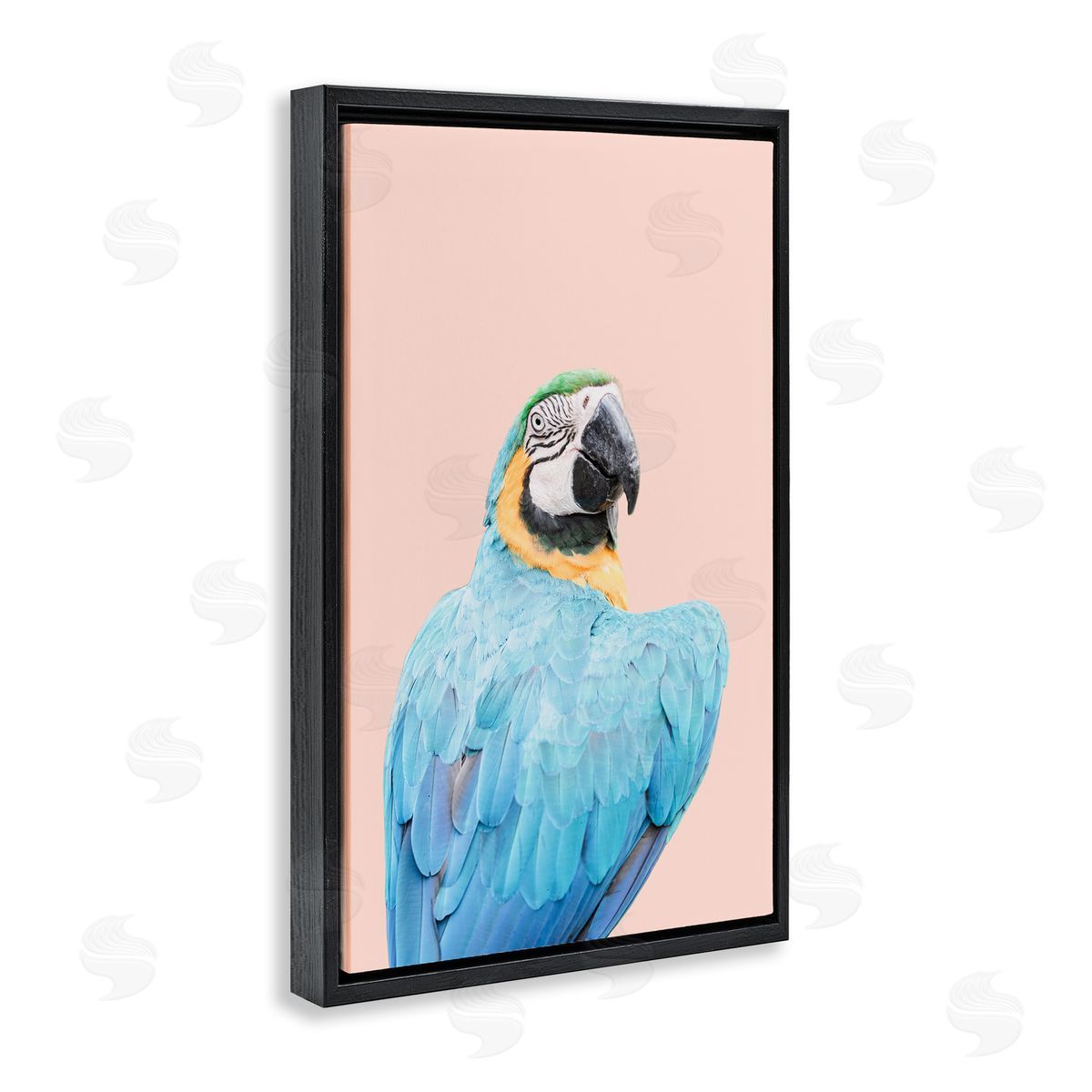 Sisi and Seb Blue Ara Macaw Black Floating Frame Canvas Wall Art Print