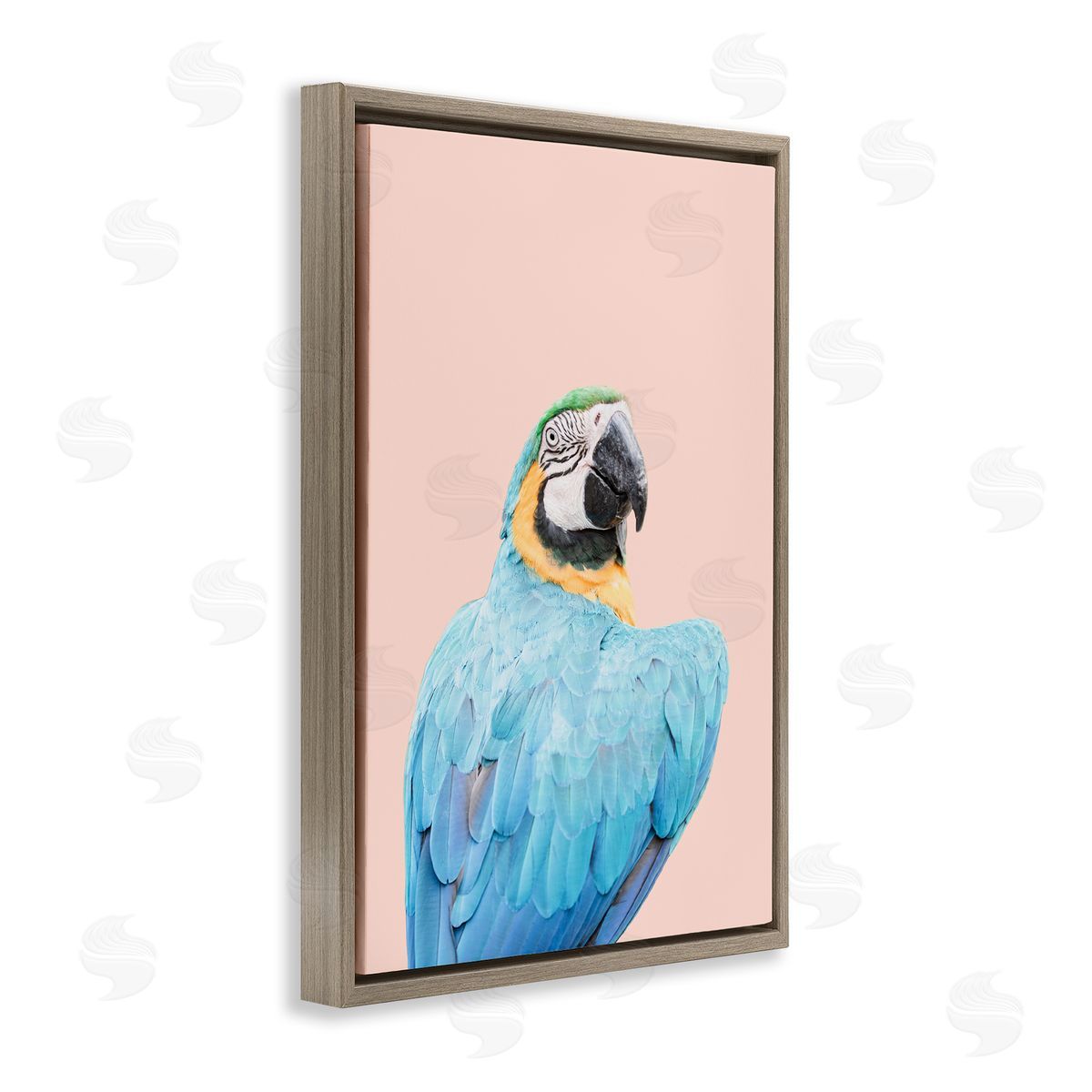 Sisi and Seb Blue Ara Macaw Brown Floating Frame Canvas Wall Art Print