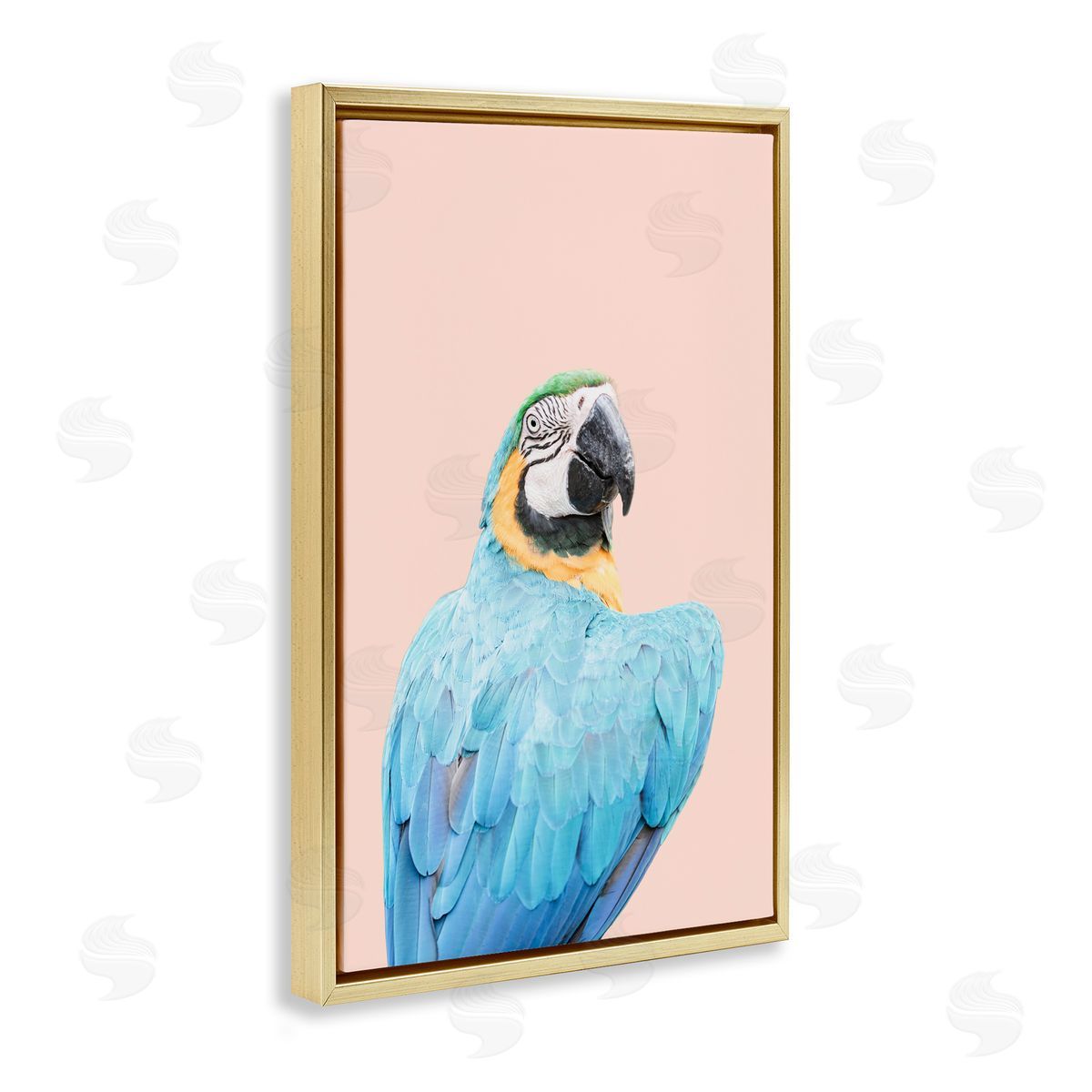 Sisi and Seb Blue Ara Macaw Gold Floating Frame Canvas Wall Art Print