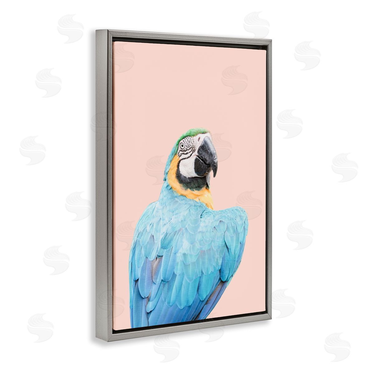 Sisi and Seb Blue Ara Macaw Gray Floating Frame Canvas Wall Art Print