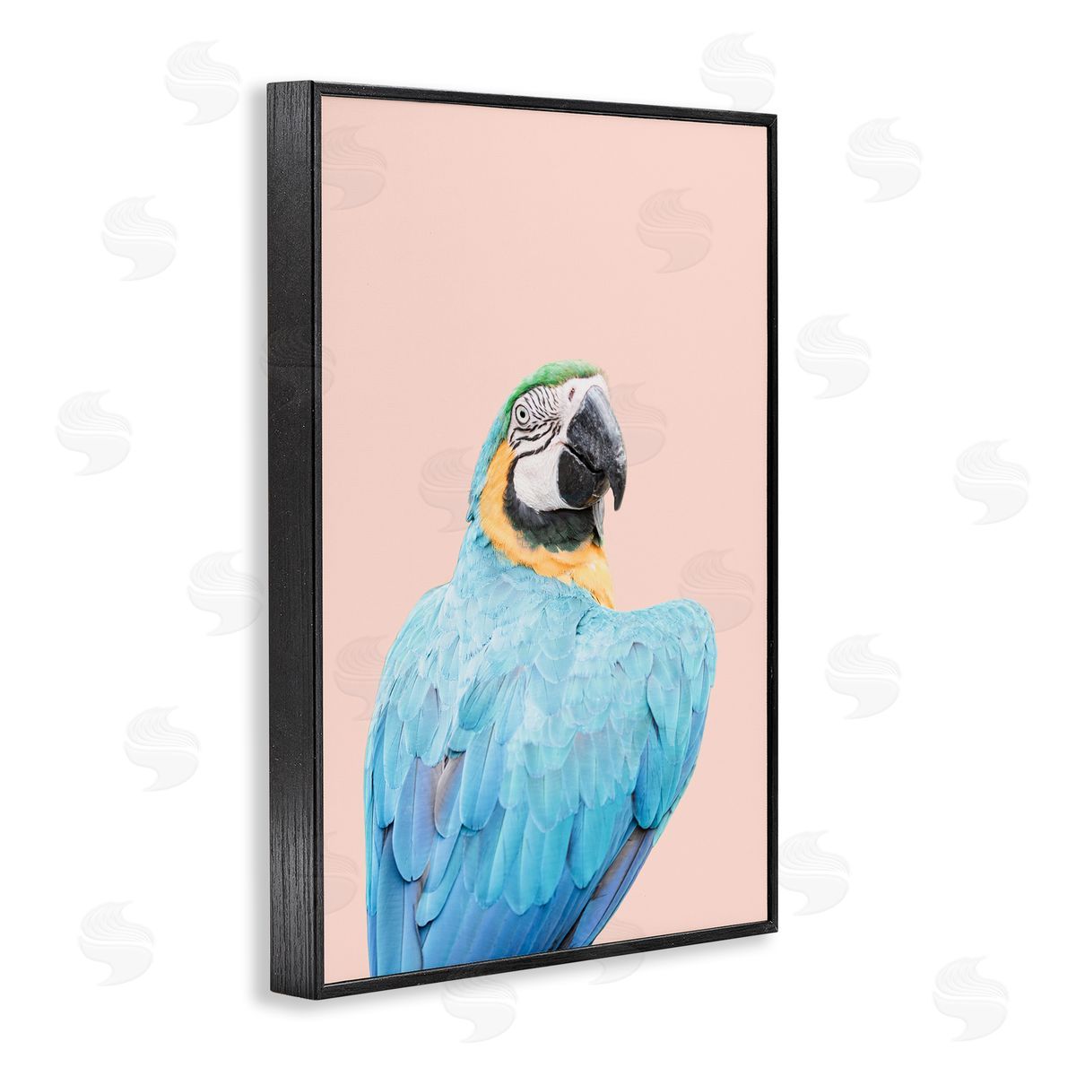Sisi and Seb Blue Ara Macaw Black Framed Giclee Wall Art Print