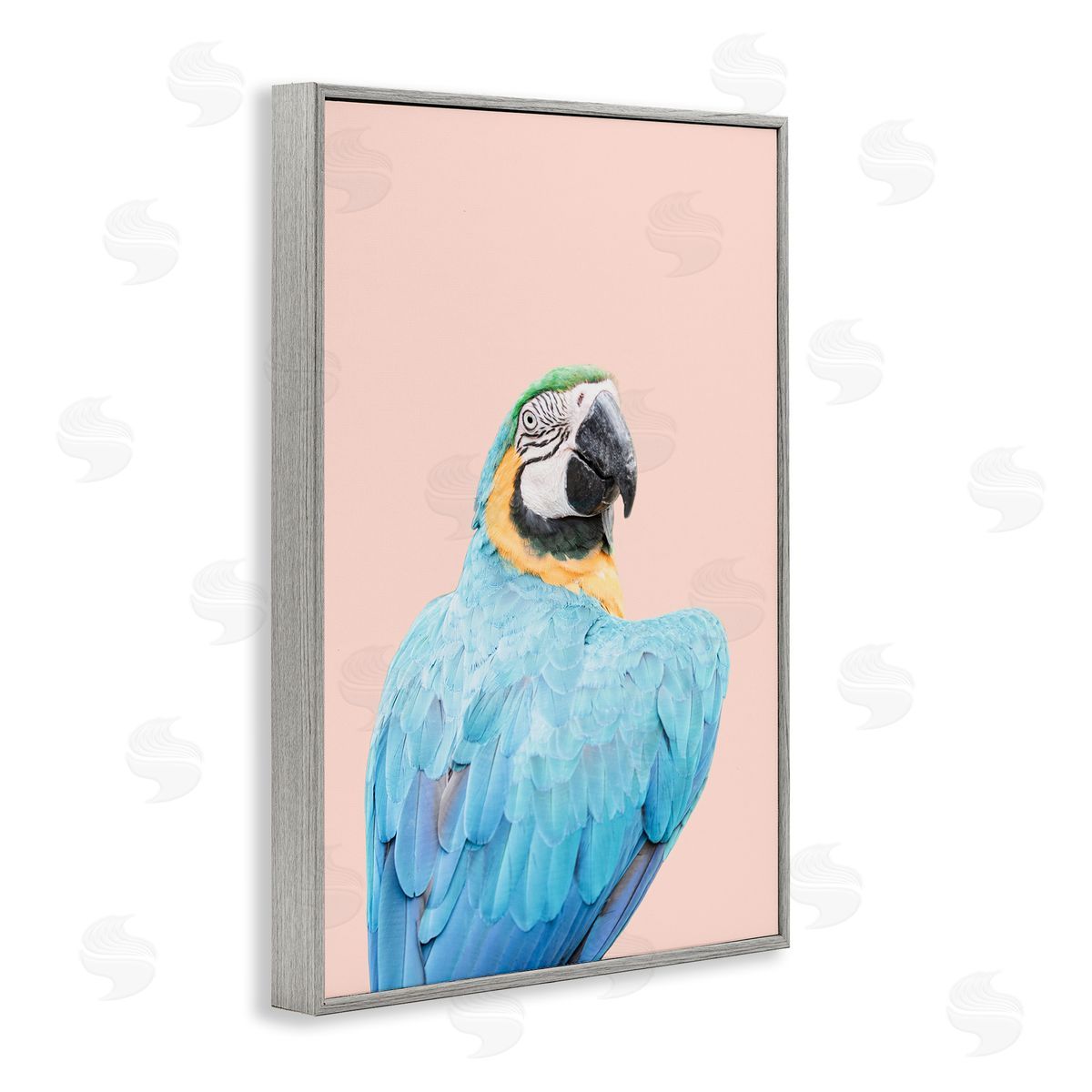 Sisi and Seb Blue Ara Macaw Gray Framed Giclee Wall Art Print
