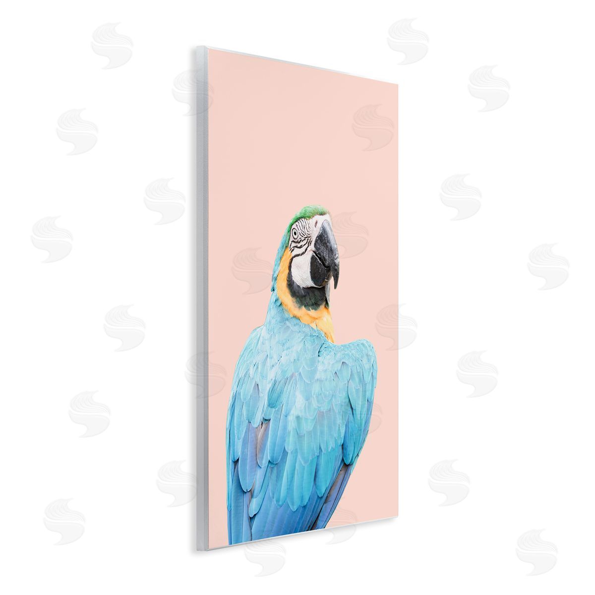 Sisi and Seb Blue Ara Macaw Wooden Wall Plaque Art Print