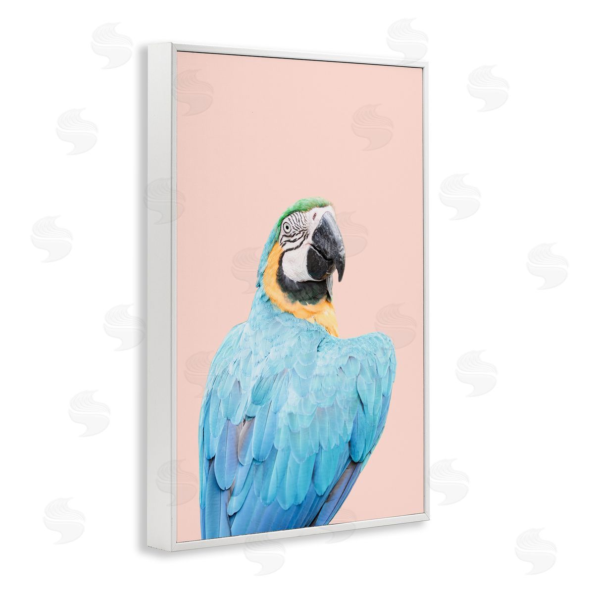 Sisi and Seb Blue Ara Macaw White Framed Giclee Wall Art Print
