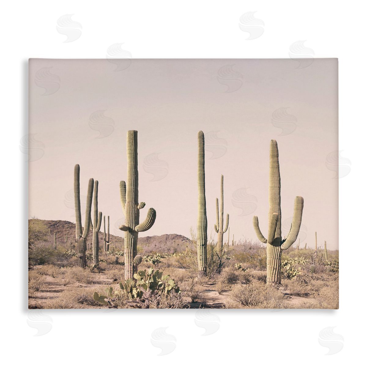 Sisi and Seb Blush Cactus Field Canvas Wall Art Print