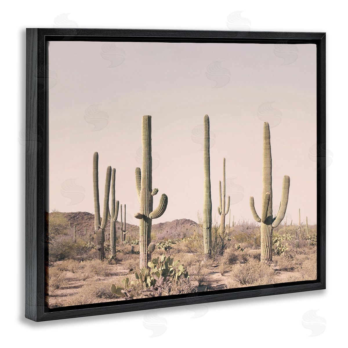 Sisi and Seb Blush Cactus Field Black Floating Frame Canvas Wall Art Print