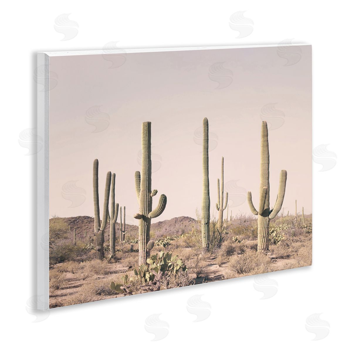 Sisi and Seb Blush Cactus Field Wooden Wall Plaque Art Print