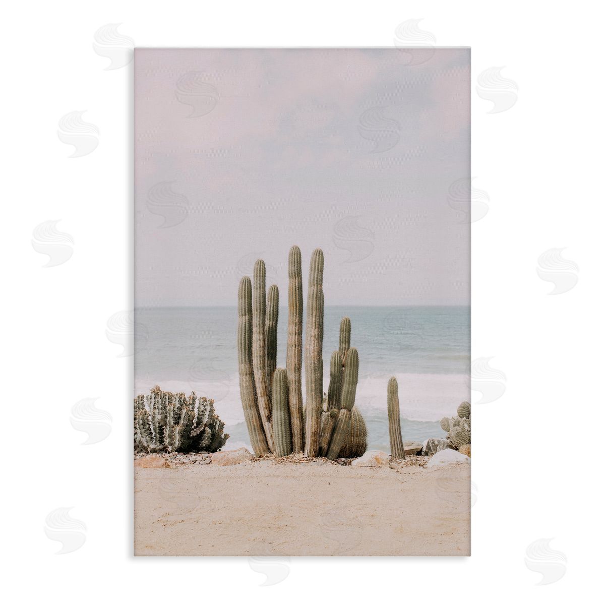 Sisi and Seb Cactus on Beach Shore Canvas Wall Art Print