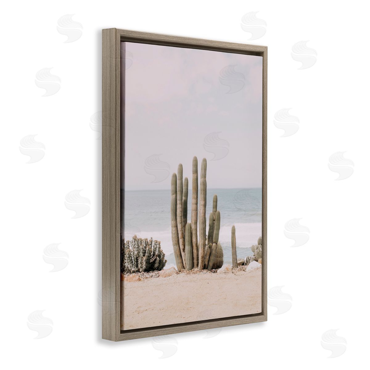 Sisi and Seb Cactus on Beach Shore Brown Floating Frame Canvas Wall Art Print