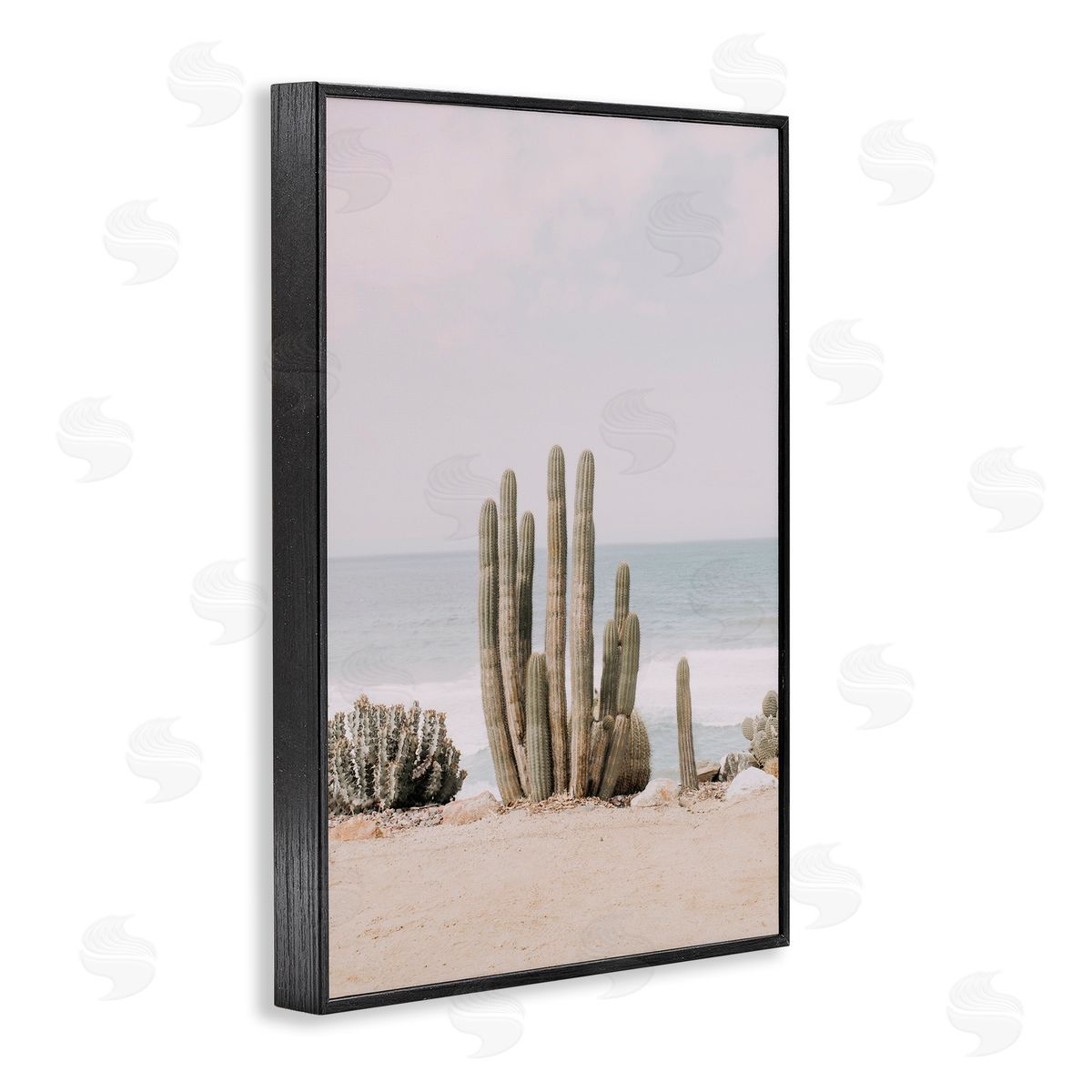Sisi and Seb Cactus on Beach Shore Black Framed Giclee Wall Art Print