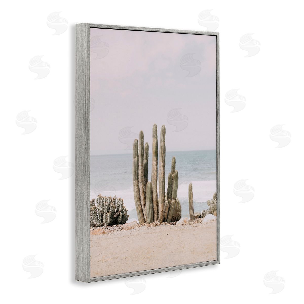 Sisi and Seb Cactus on Beach Shore Gray Framed Giclee Wall Art Print