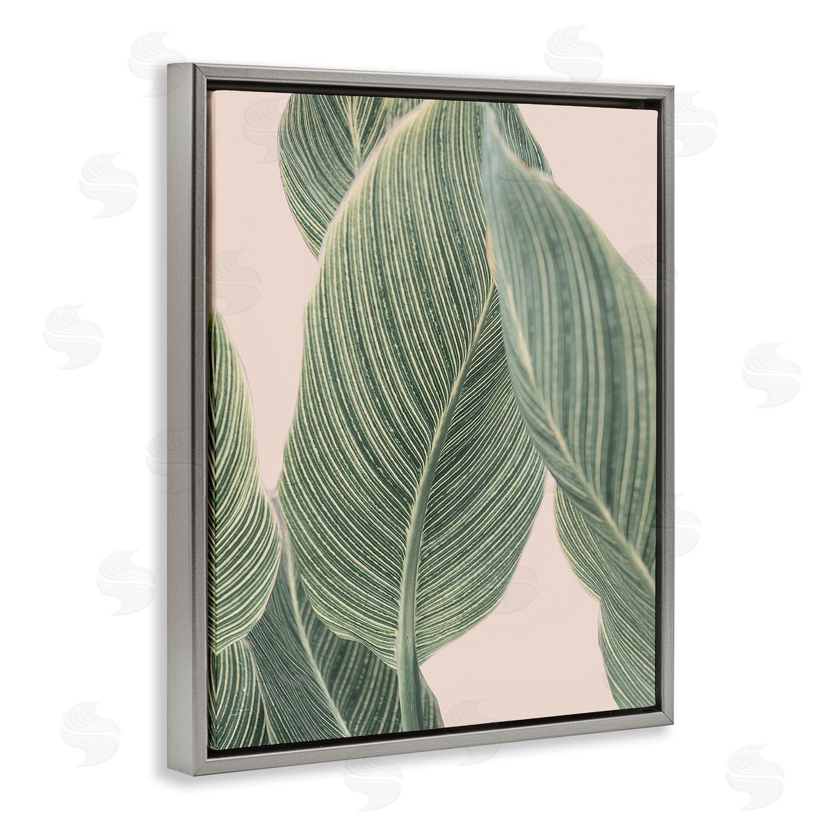 Sisi and Seb Curled Green Leaves Gray Floating Frame Canvas Wall Art Print