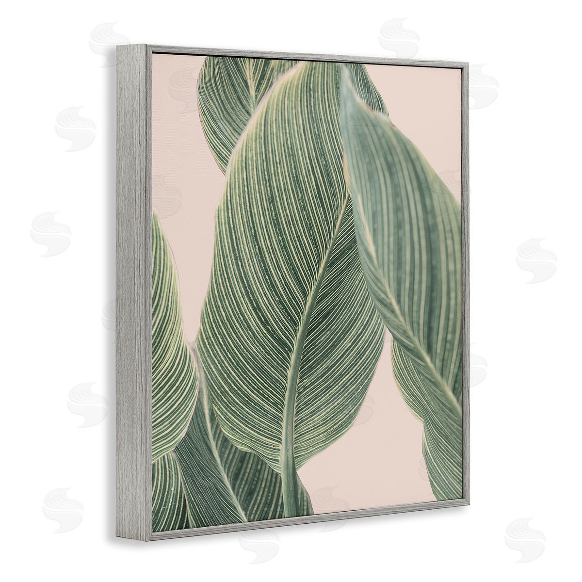 Sisi and Seb Curled Green Leaves Gray Framed Giclee Wall Art Print