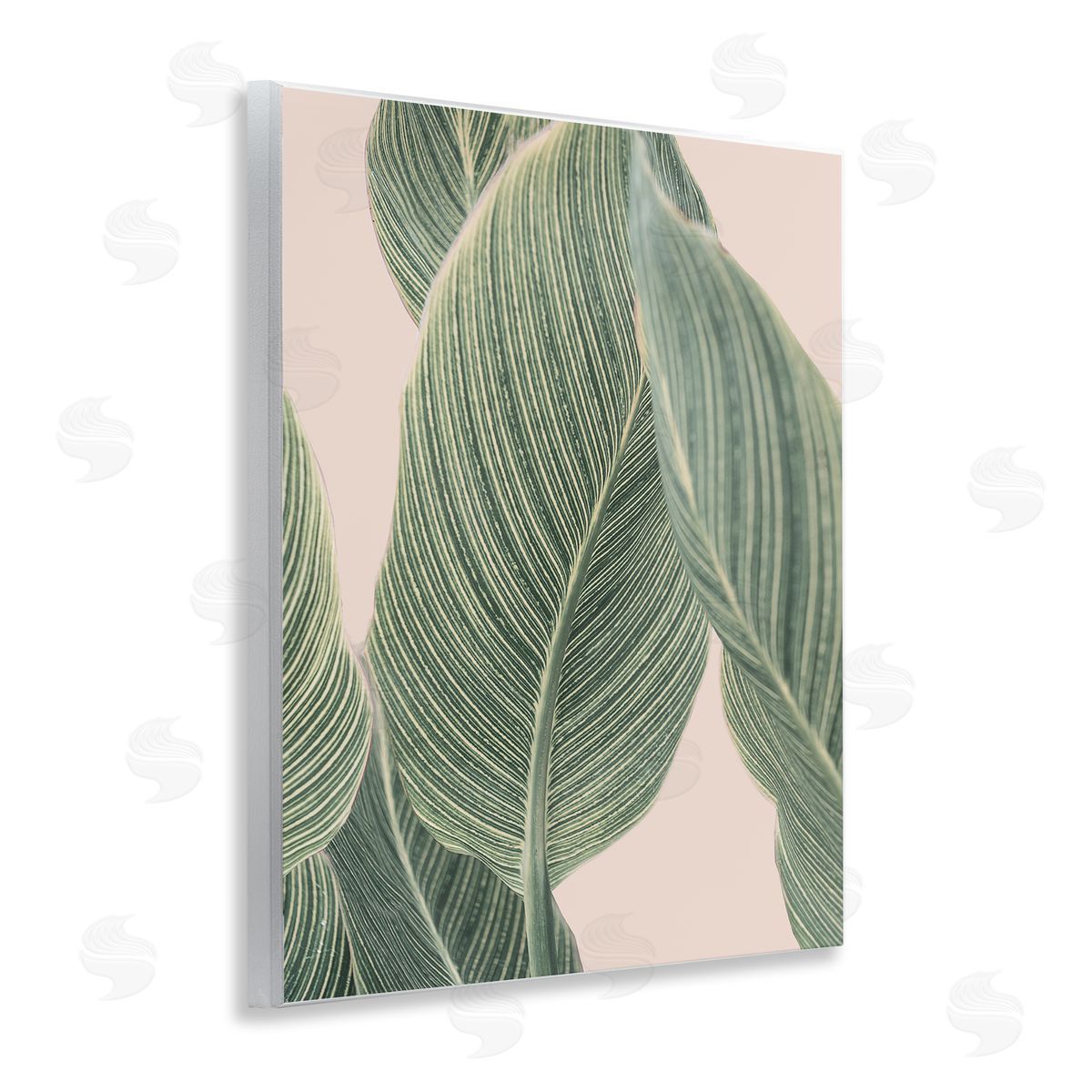 Sisi and Seb Curled Green Leaves Wooden Wall Plaque Art Print