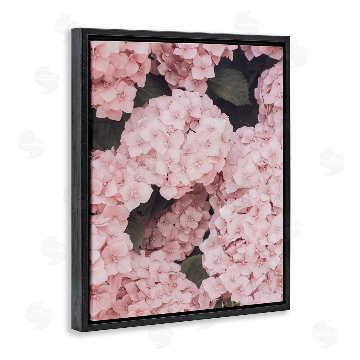Sisi and Seb Pink Hydrangea Blossoms Black Floating Frame Canvas Wall Art Print
