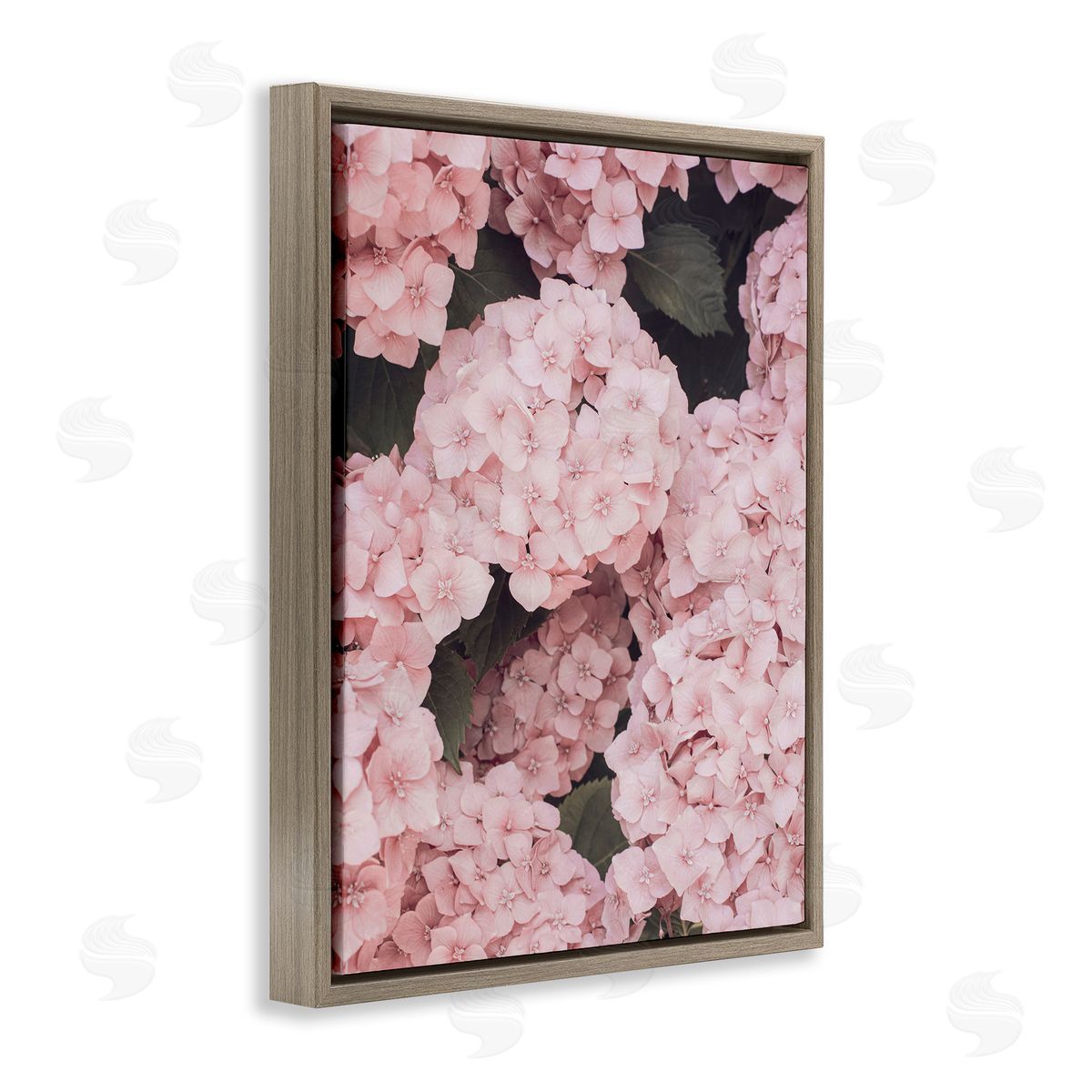 Sisi and Seb Pink Hydrangea Blossoms Brown Floating Frame Canvas Wall Art Print