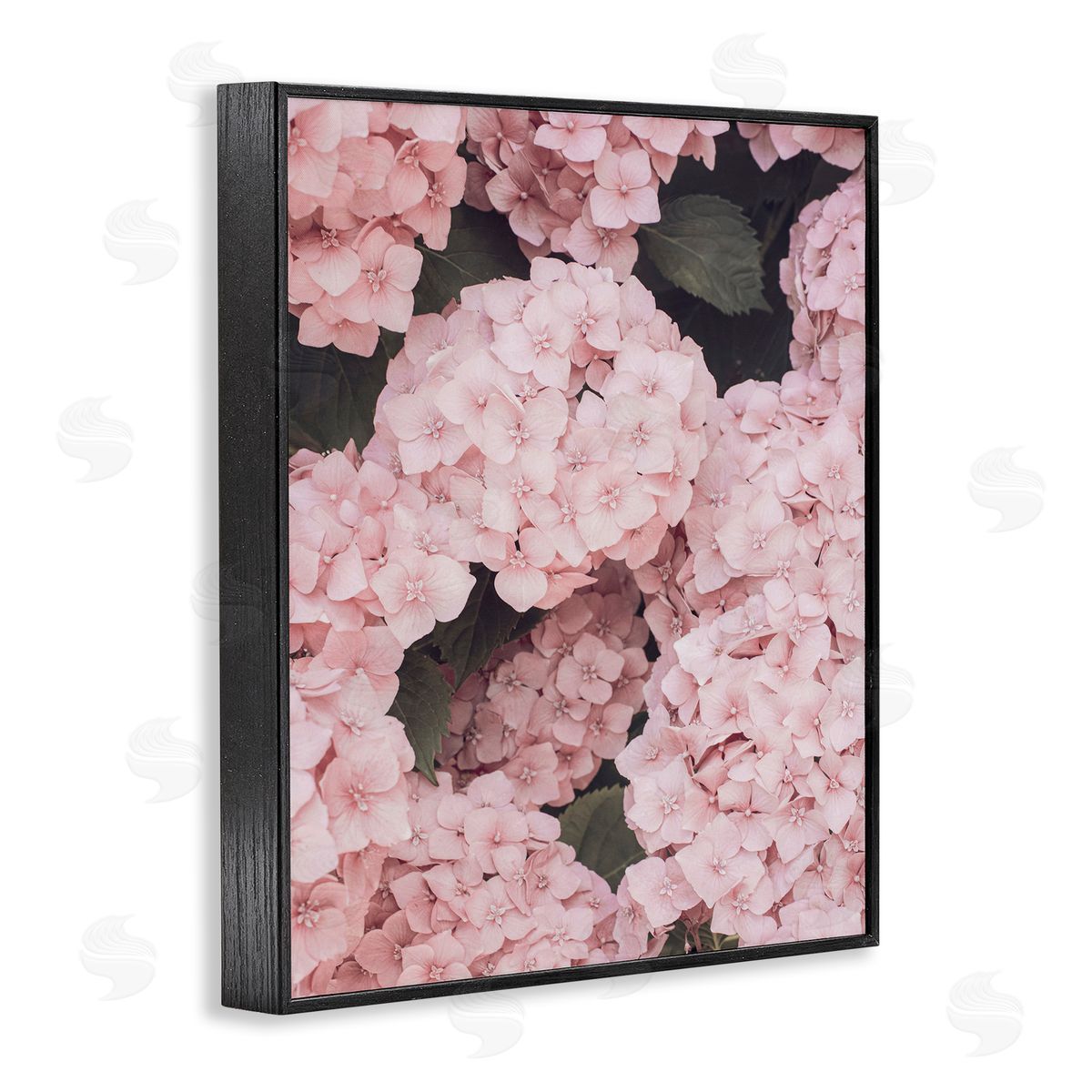 Sisi and Seb Pink Hydrangea Blossoms Black Framed Giclee Wall Art Print