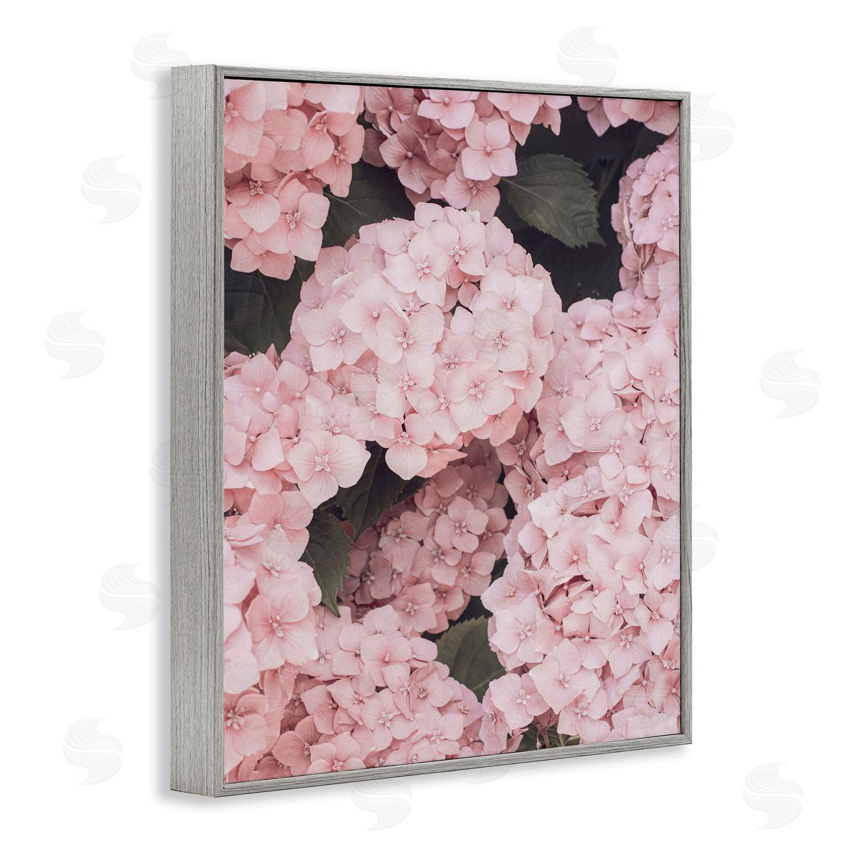 Sisi and Seb Pink Hydrangea Blossoms Gray Framed Giclee Wall Art Print