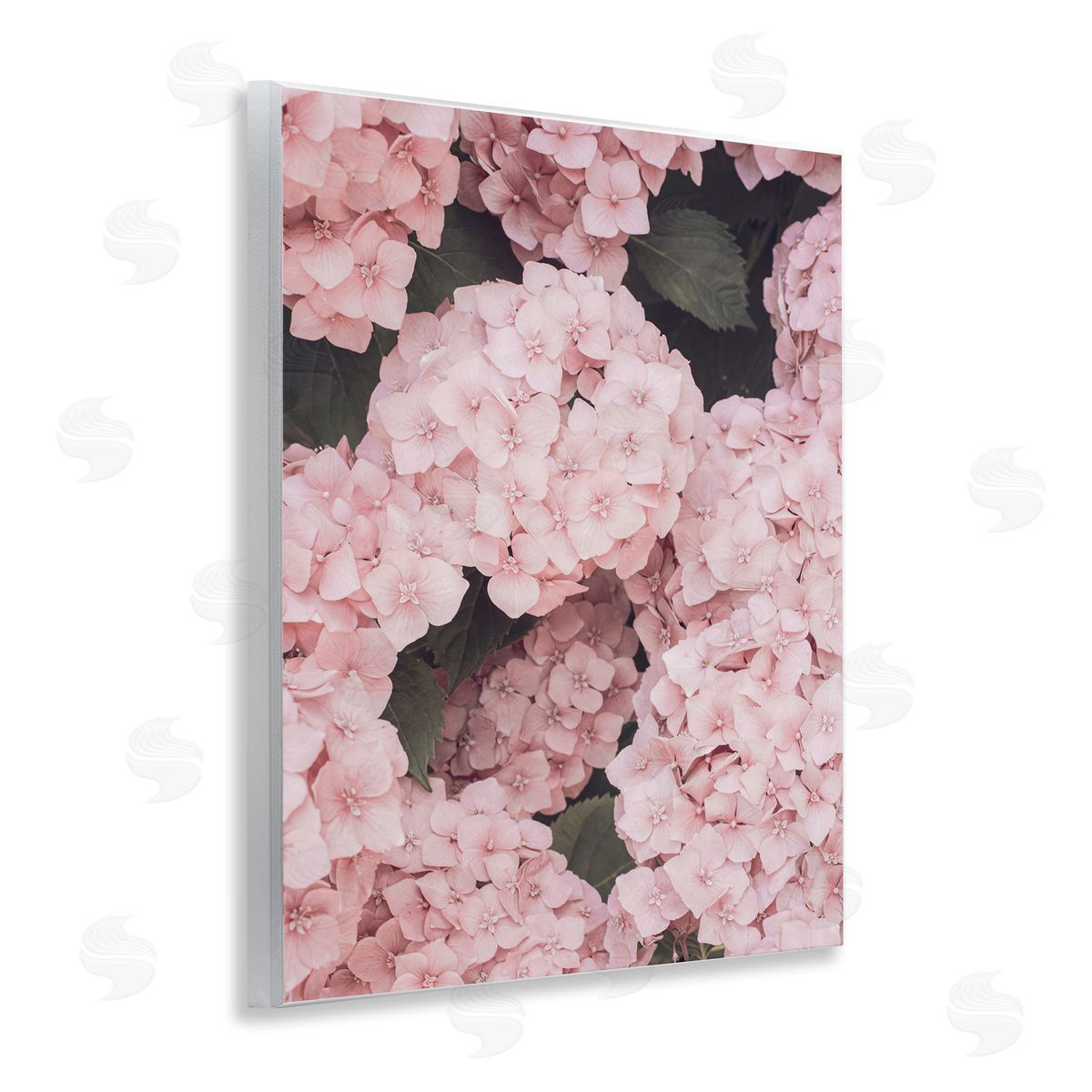 Sisi and Seb Pink Hydrangea Blossoms Wooden Wall Plaque Art Print