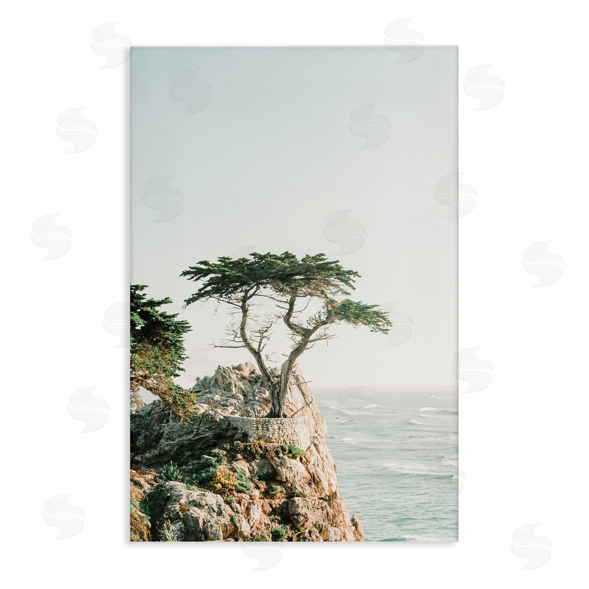 Sisi and Seb Tree on Beachside Cliff Canvas Wall Art Print