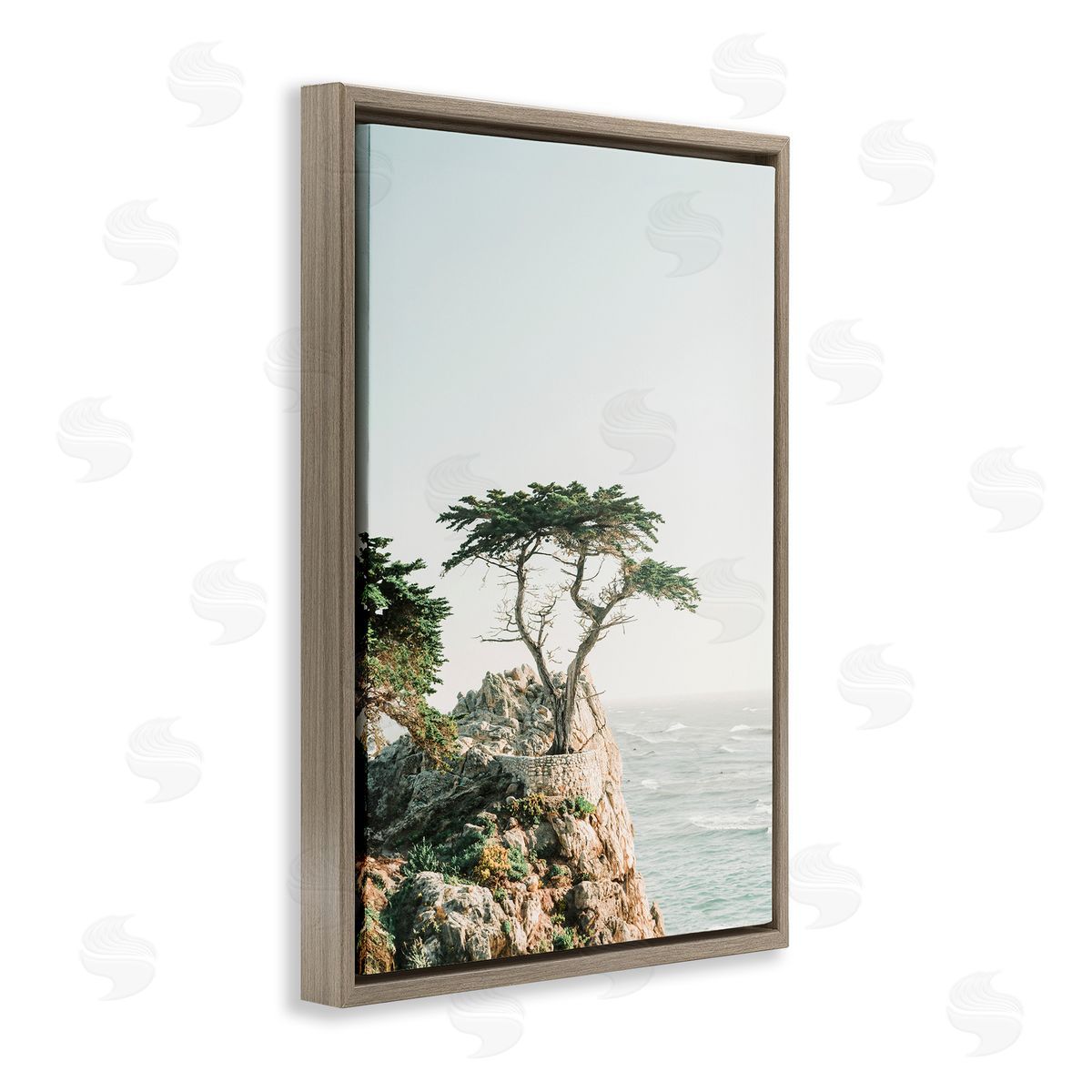 Sisi and Seb Tree on Beachside Cliff Brown Floating Frame Canvas Wall Art Print