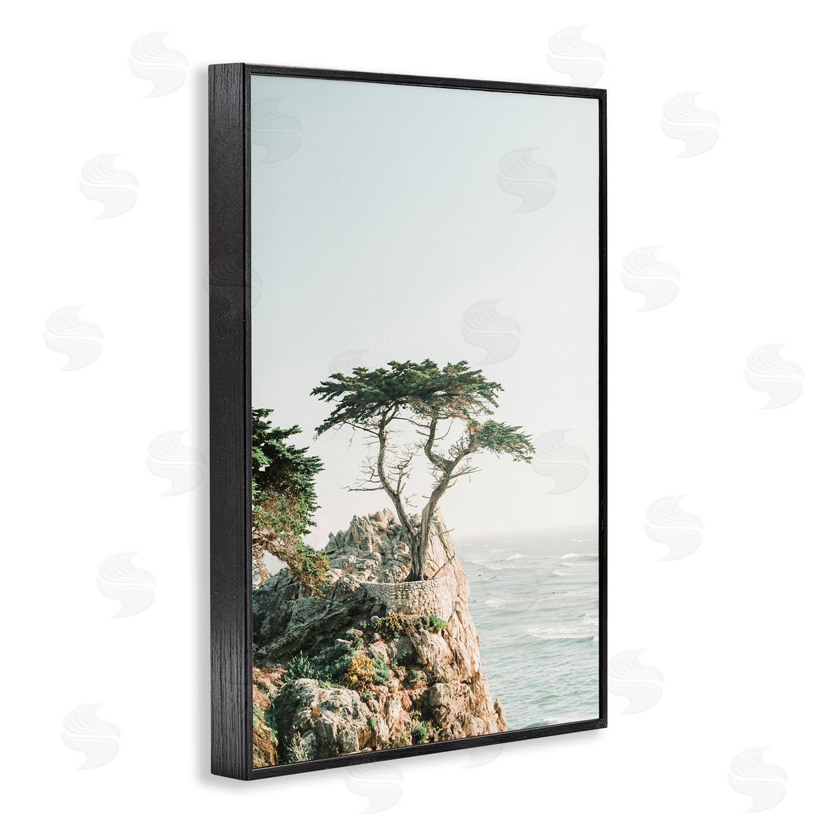 Sisi and Seb Tree on Beachside Cliff Black Framed Giclee Wall Art Print
