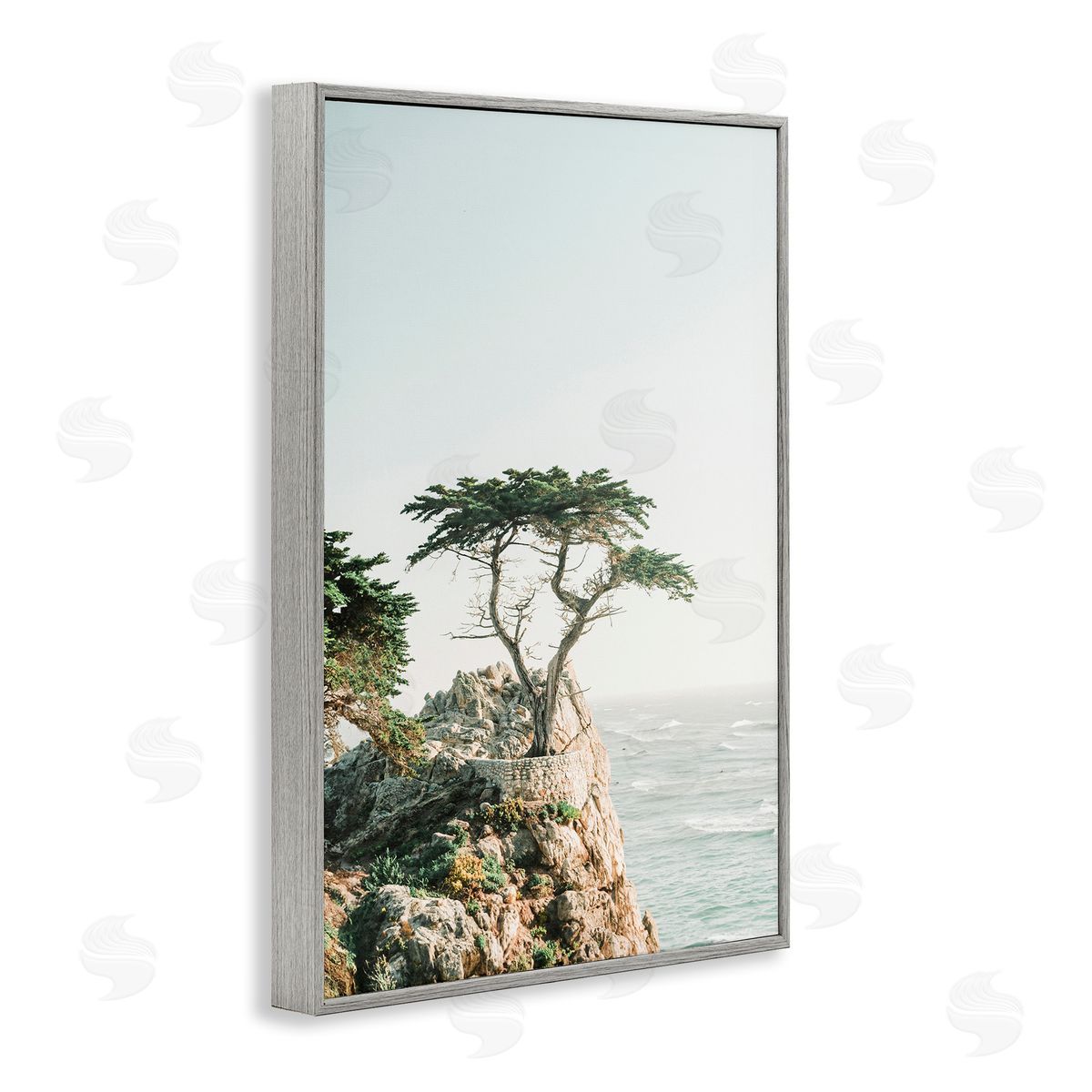 Sisi and Seb Tree on Beachside Cliff Gray Framed Giclee Wall Art Print