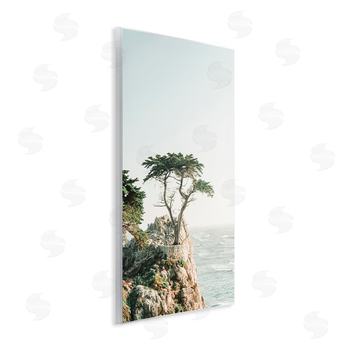 Sisi and Seb Tree on Beachside Cliff Wooden Wall Plaque Art Print