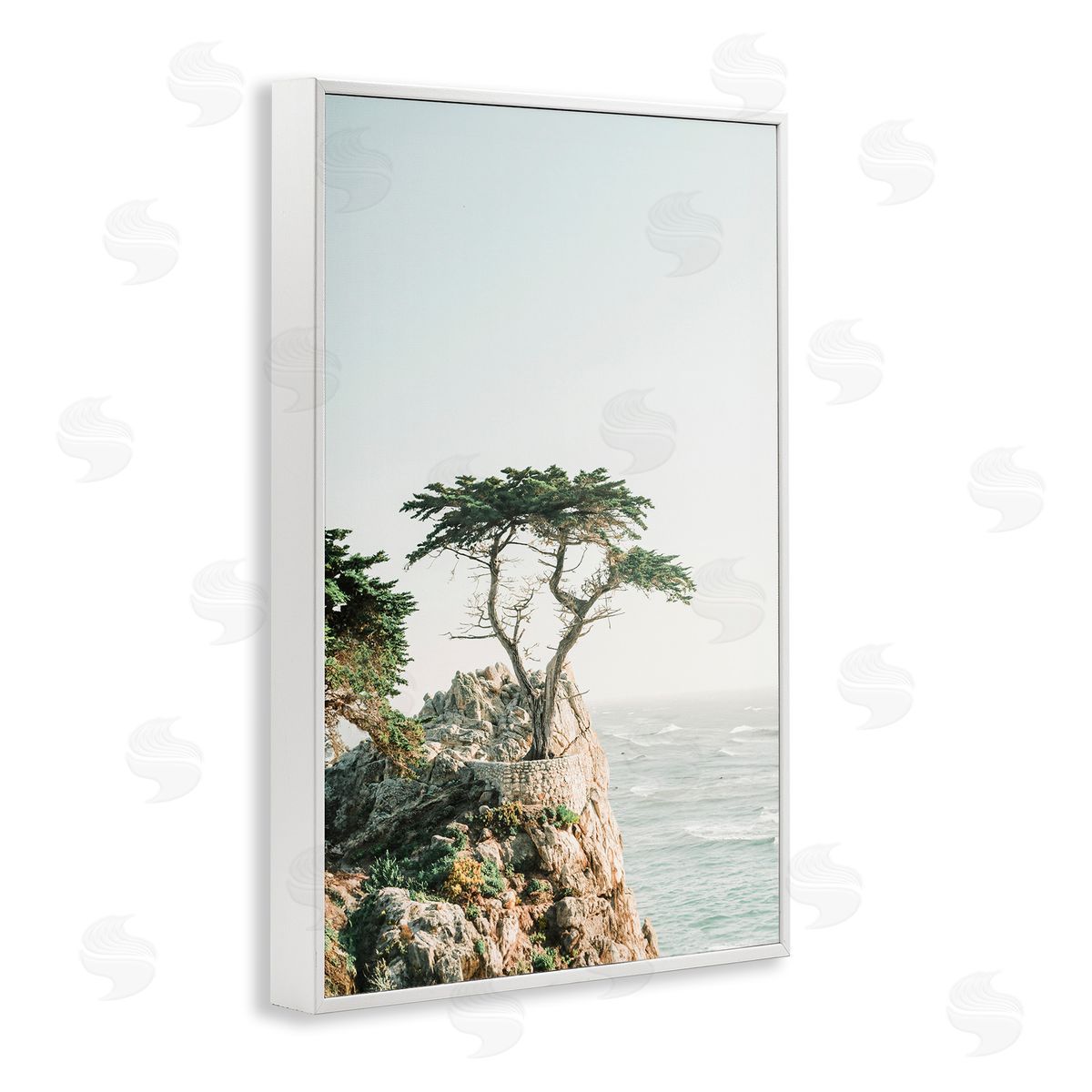 Sisi and Seb Tree on Beachside Cliff White Framed Giclee Wall Art Print