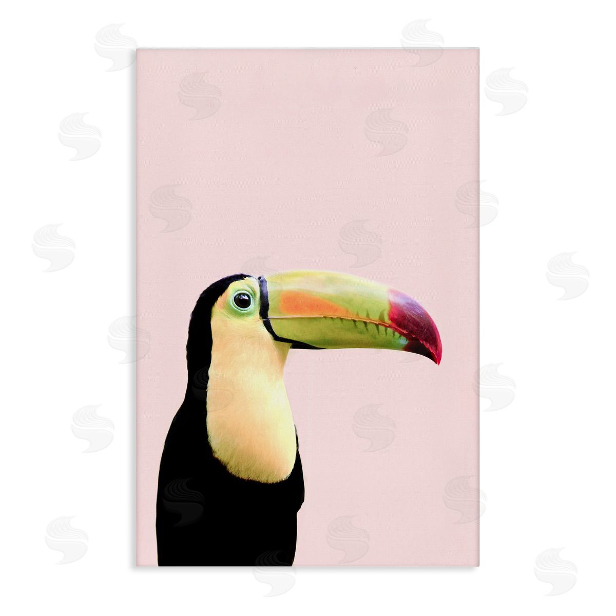 Sisi and Seb Pastel Toucan on Pink Canvas Wall Art Print