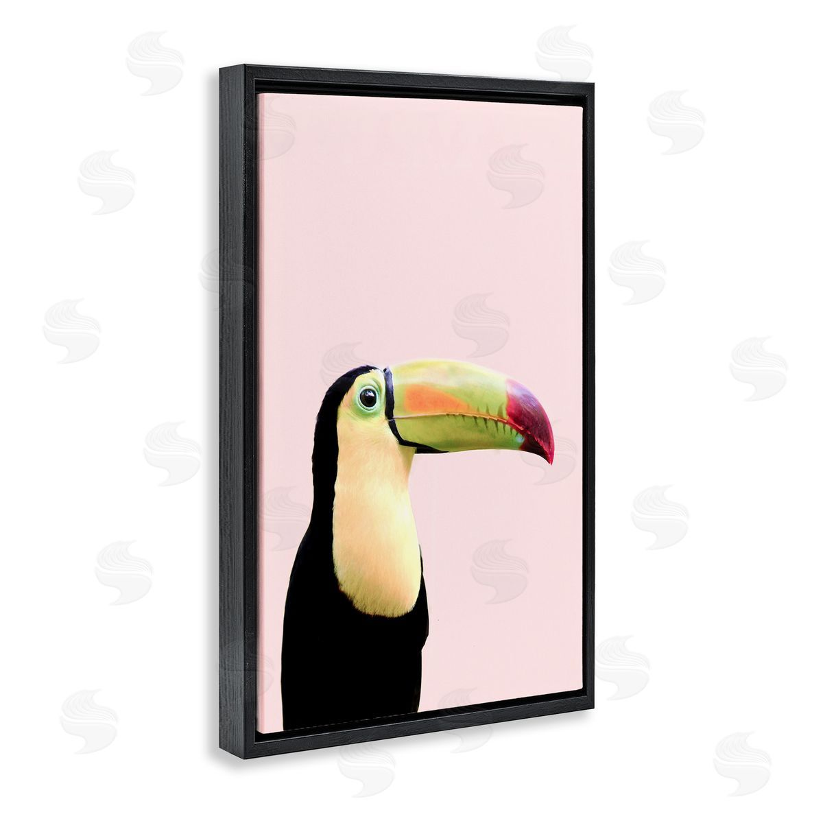 Sisi and Seb Pastel Toucan on Pink Black Floating Frame Canvas Wall Art Print