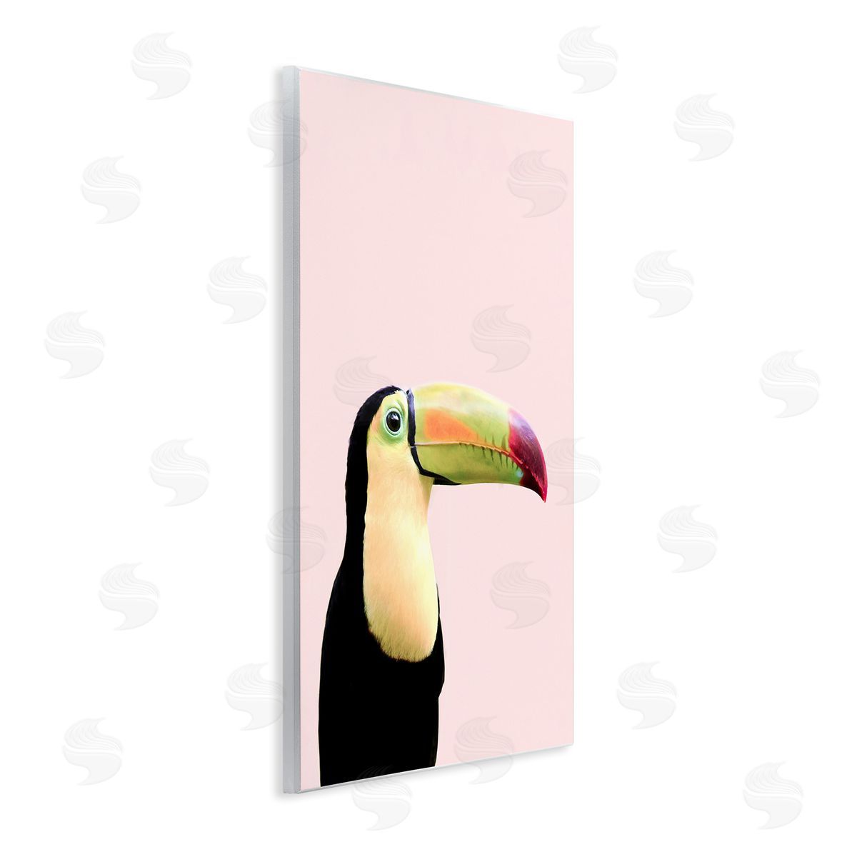 Sisi and Seb Pastel Toucan on Pink Wooden Wall Plaque Art Print
