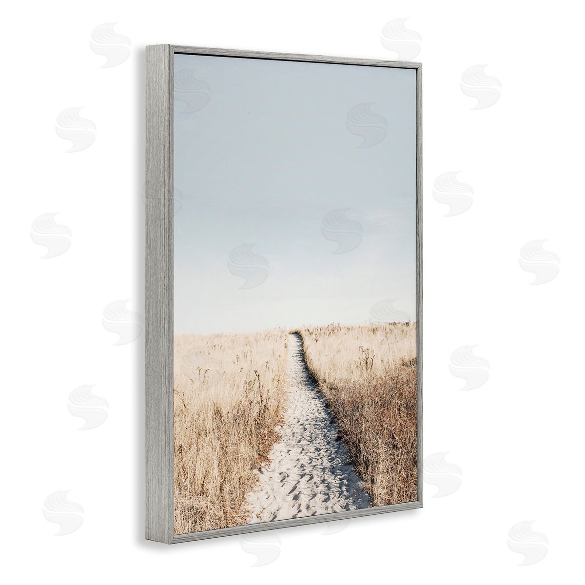 Sisi and Seb Path with Sandy Footprints Gray Framed Giclee Wall Art Print