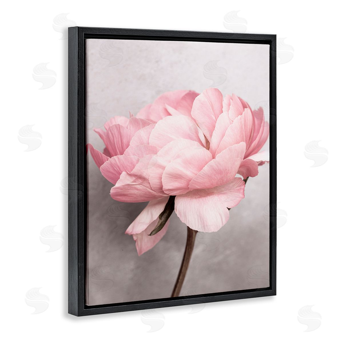 Sisi and Seb Blooming Vintage Peony Black Floating Frame Canvas Wall Art Print