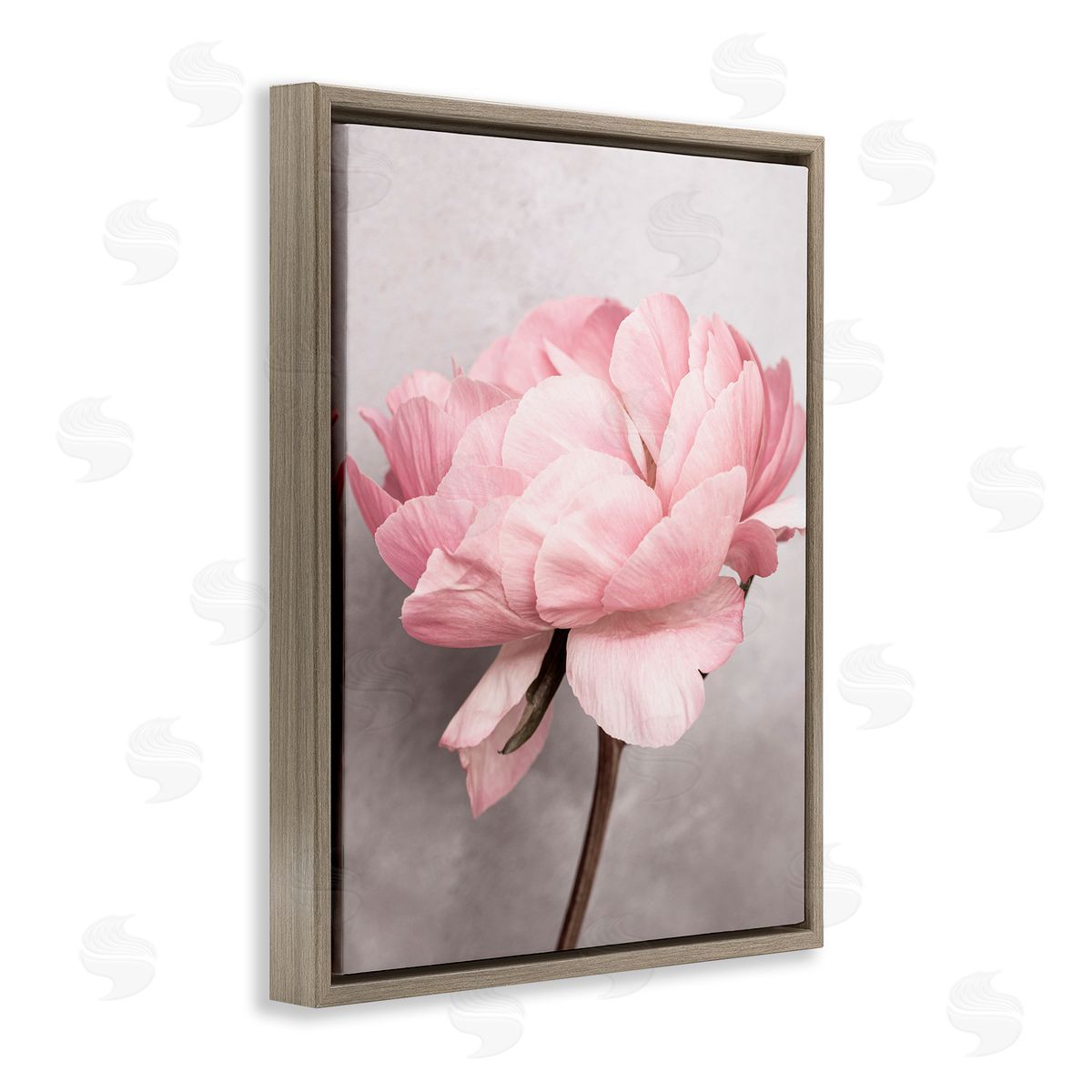 Sisi and Seb Blooming Vintage Peony Brown Floating Frame Canvas Wall Art Print