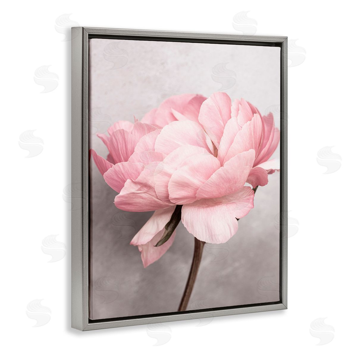 Sisi and Seb Blooming Vintage Peony Gray Floating Frame Canvas Wall Art Print