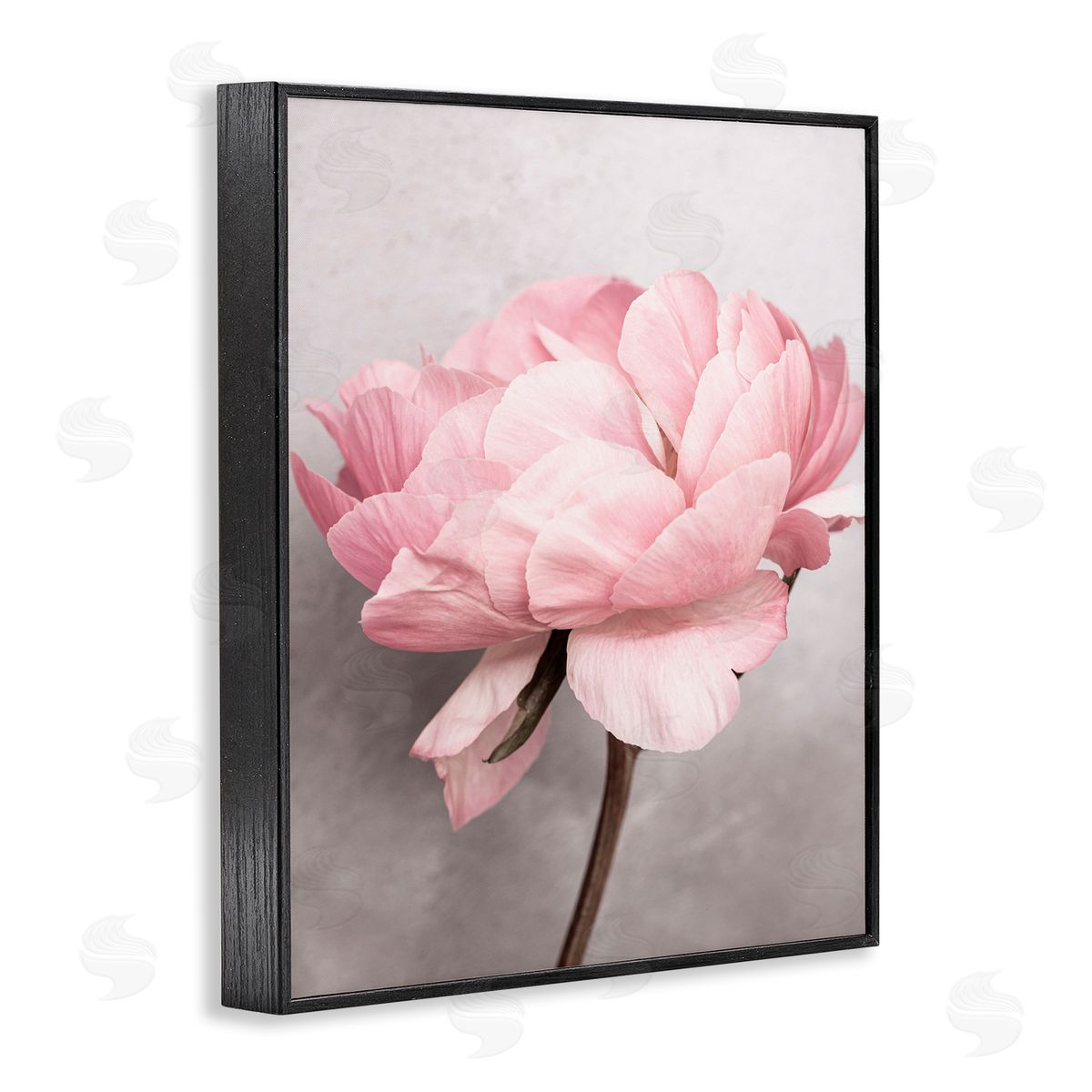 Sisi and Seb Blooming Vintage Peony Black Framed Giclee Wall Art Print