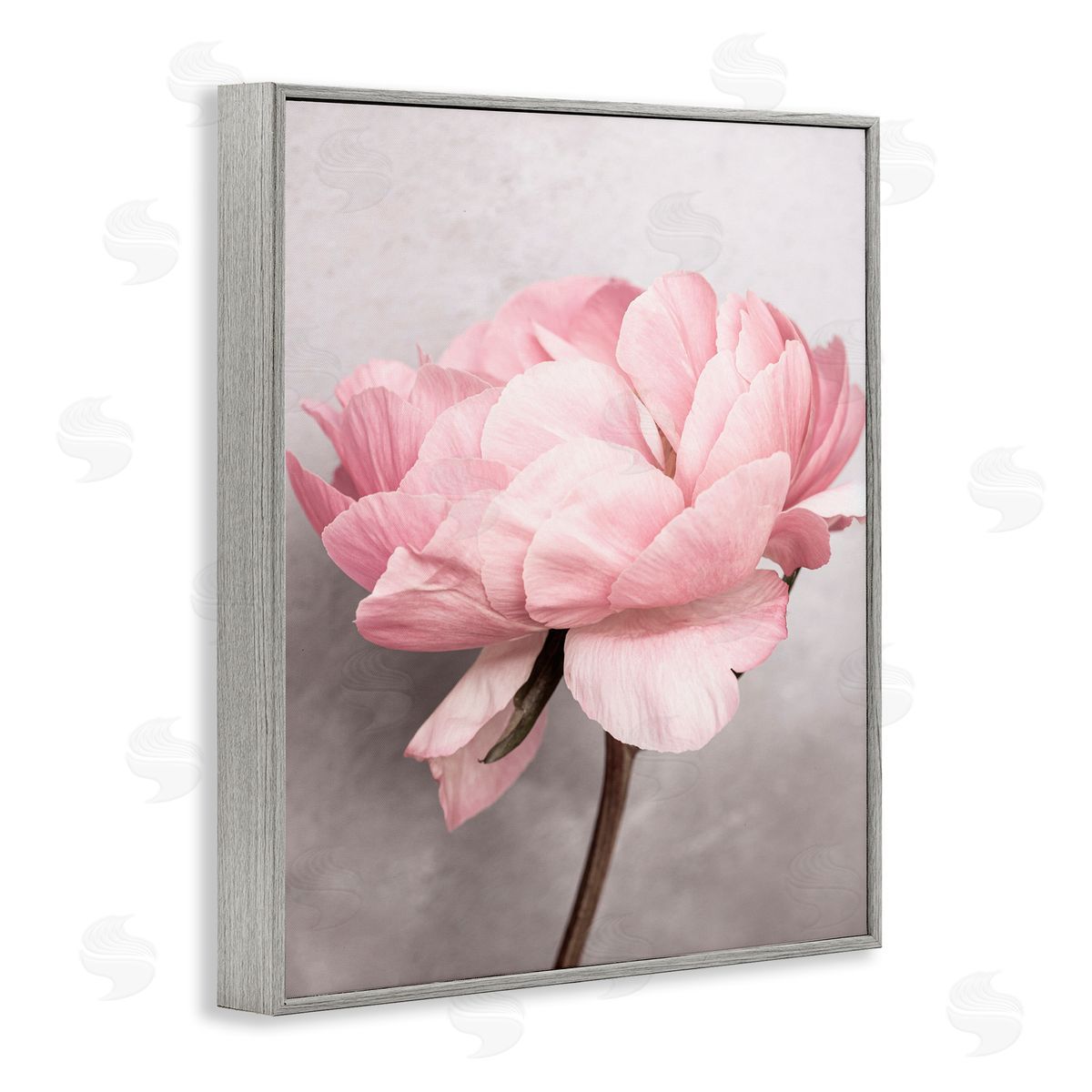 Sisi and Seb Blooming Vintage Peony Gray Framed Giclee Wall Art Print