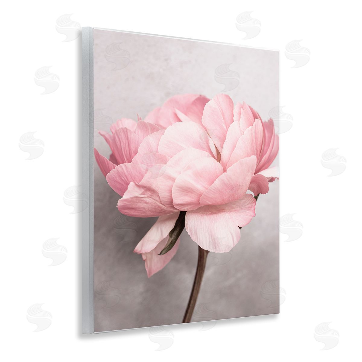 Sisi and Seb Blooming Vintage Peony Wooden Wall Plaque Art Print