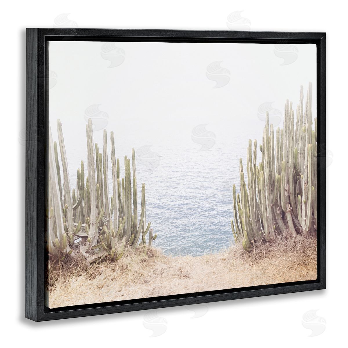 Sisi and Seb Seaside Cacti Plants Black Floating Frame Canvas Wall Art Print