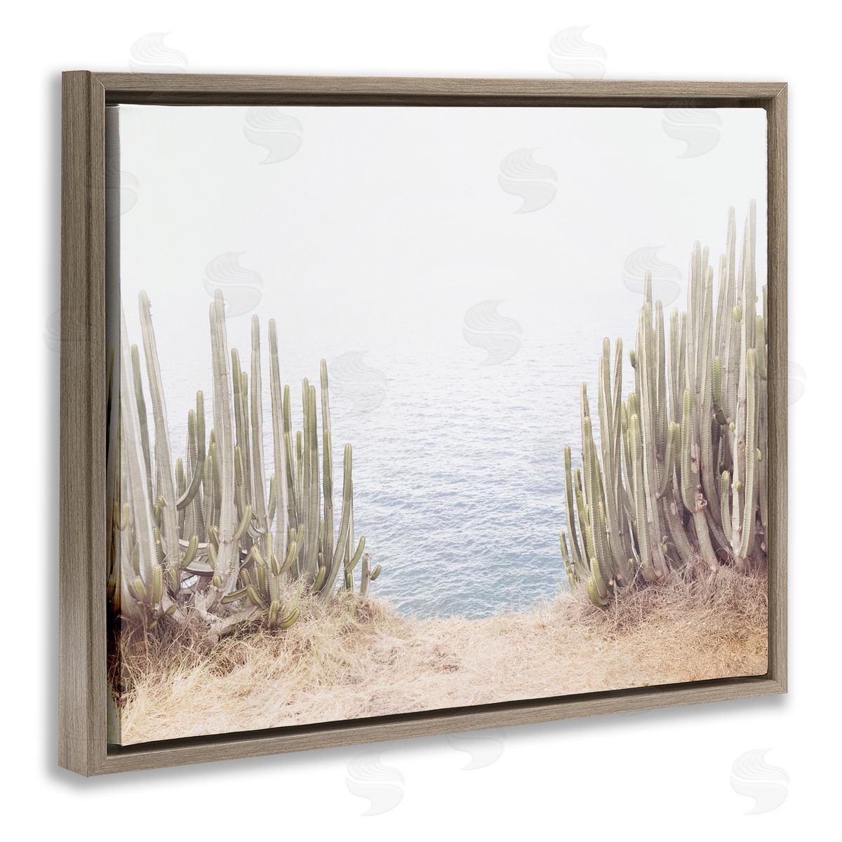 Sisi and Seb Seaside Cacti Plants Brown Floating Frame Canvas Wall Art Print