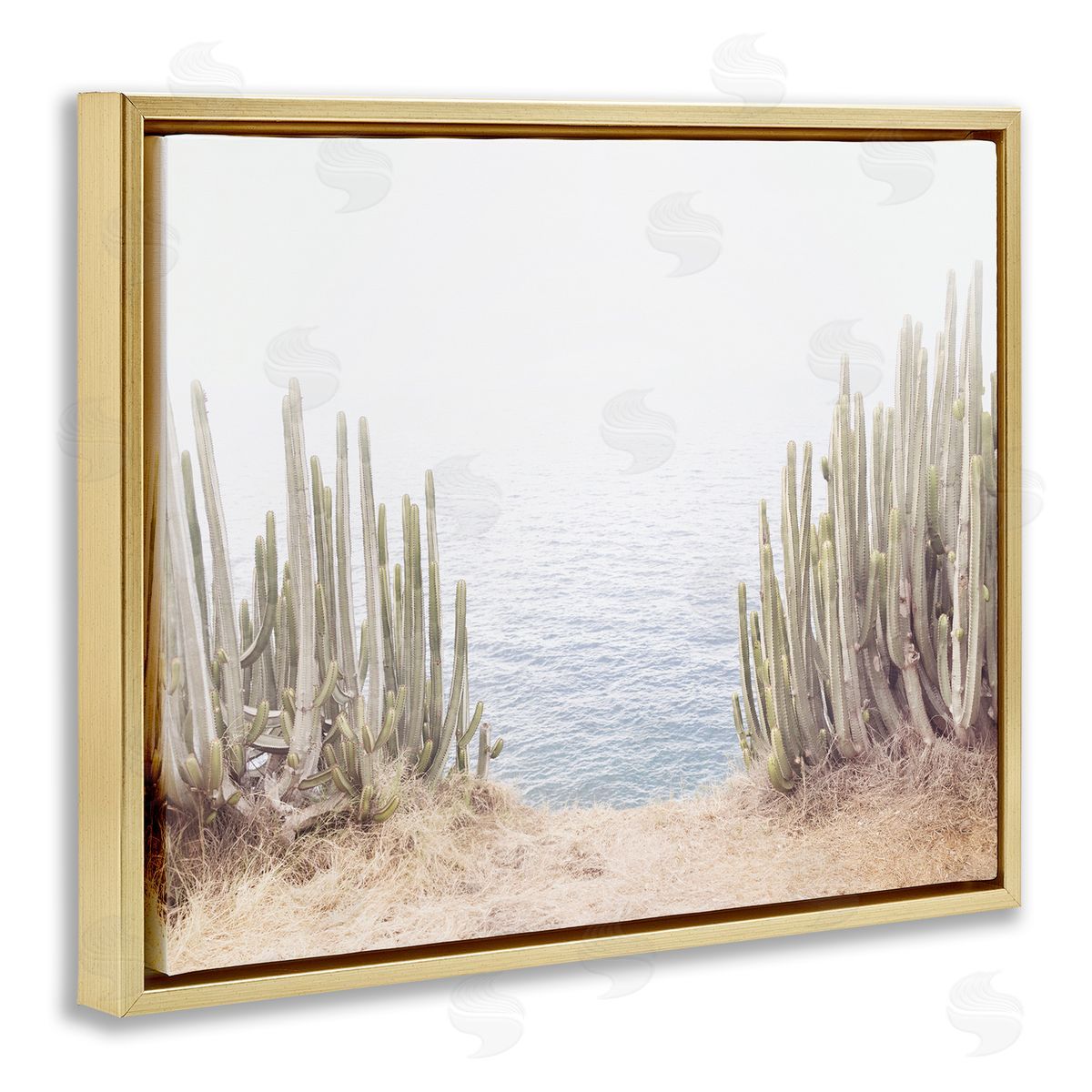 Sisi and Seb Seaside Cacti Plants Gold Floating Frame Canvas Wall Art Print