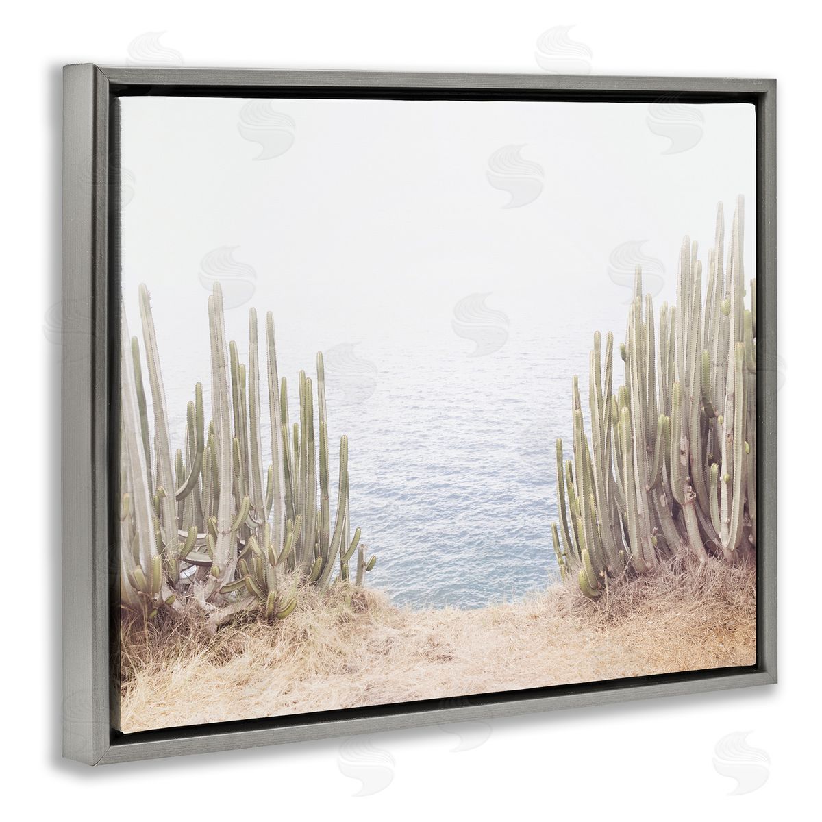 Sisi and Seb Seaside Cacti Plants Gray Floating Frame Canvas Wall Art Print