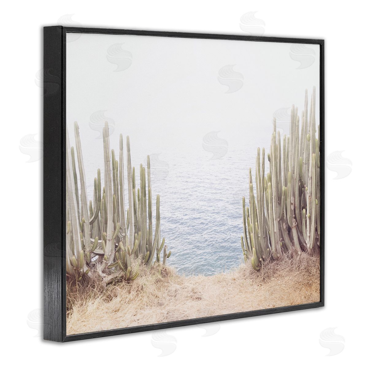 Sisi and Seb Seaside Cacti Plants Black Framed Giclee Wall Art Print