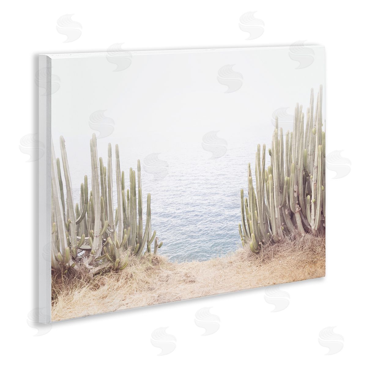 Sisi and Seb Seaside Cacti Plants Wooden Wall Plaque Art Print