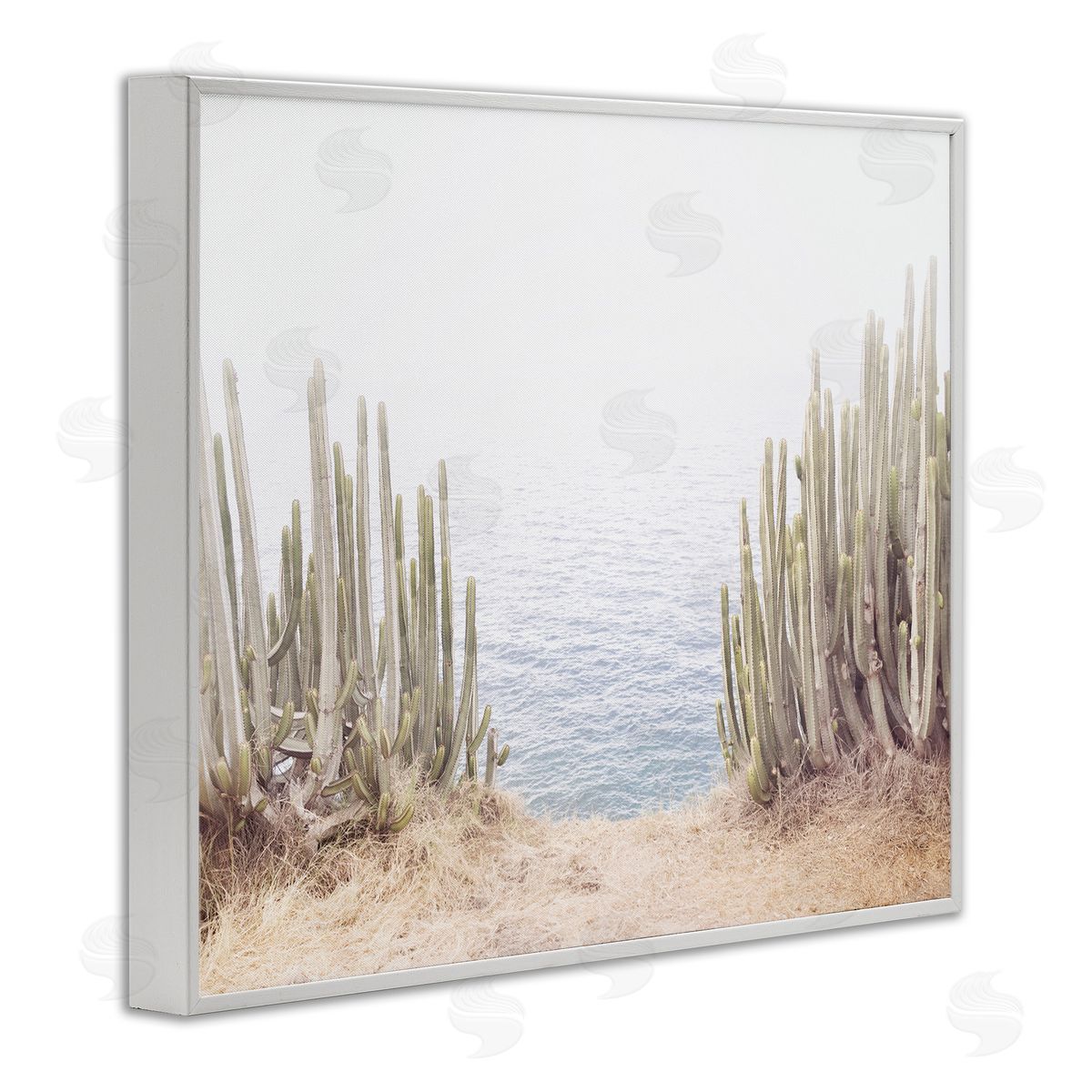 Sisi and Seb Seaside Cacti Plants White Framed Giclee Wall Art Print