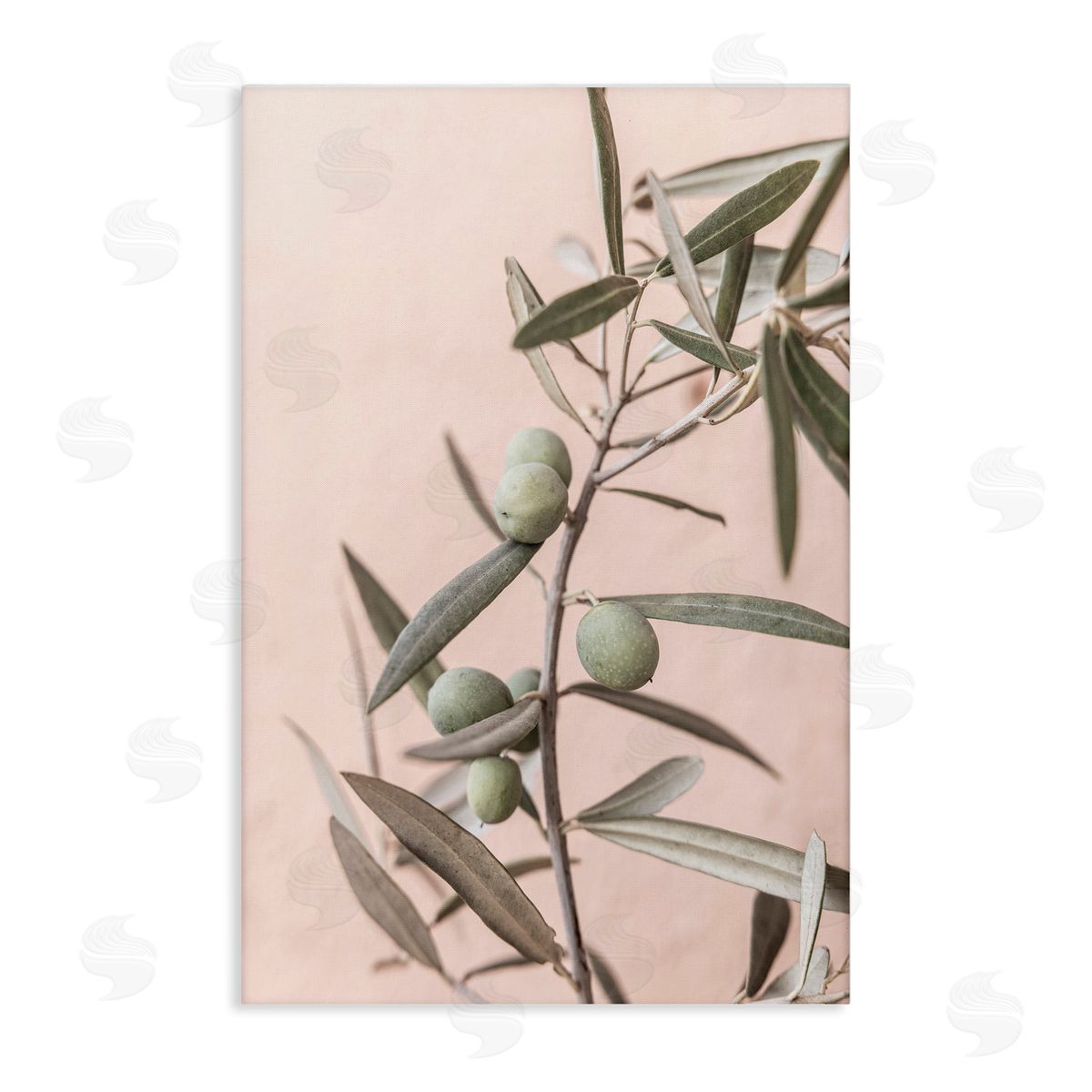 Sisi and Seb Spanish Olive Branch Canvas Wall Art Print